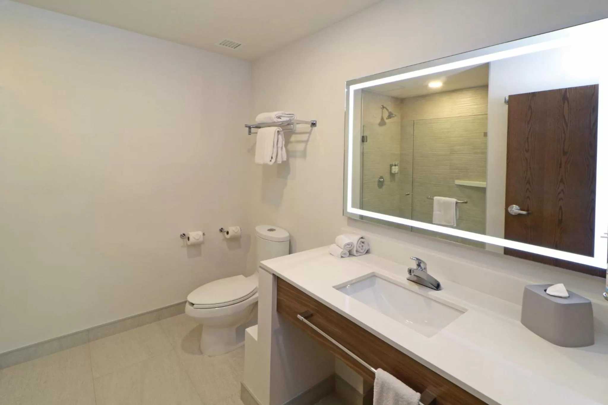 Bathroom in Holiday Inn Express San Luis Potosí by IHG