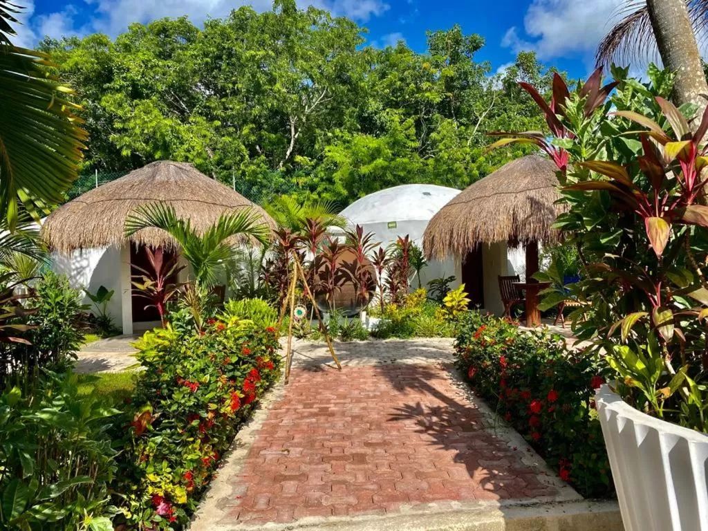 Garden in Tsaakik Jungle Hotel & Spa