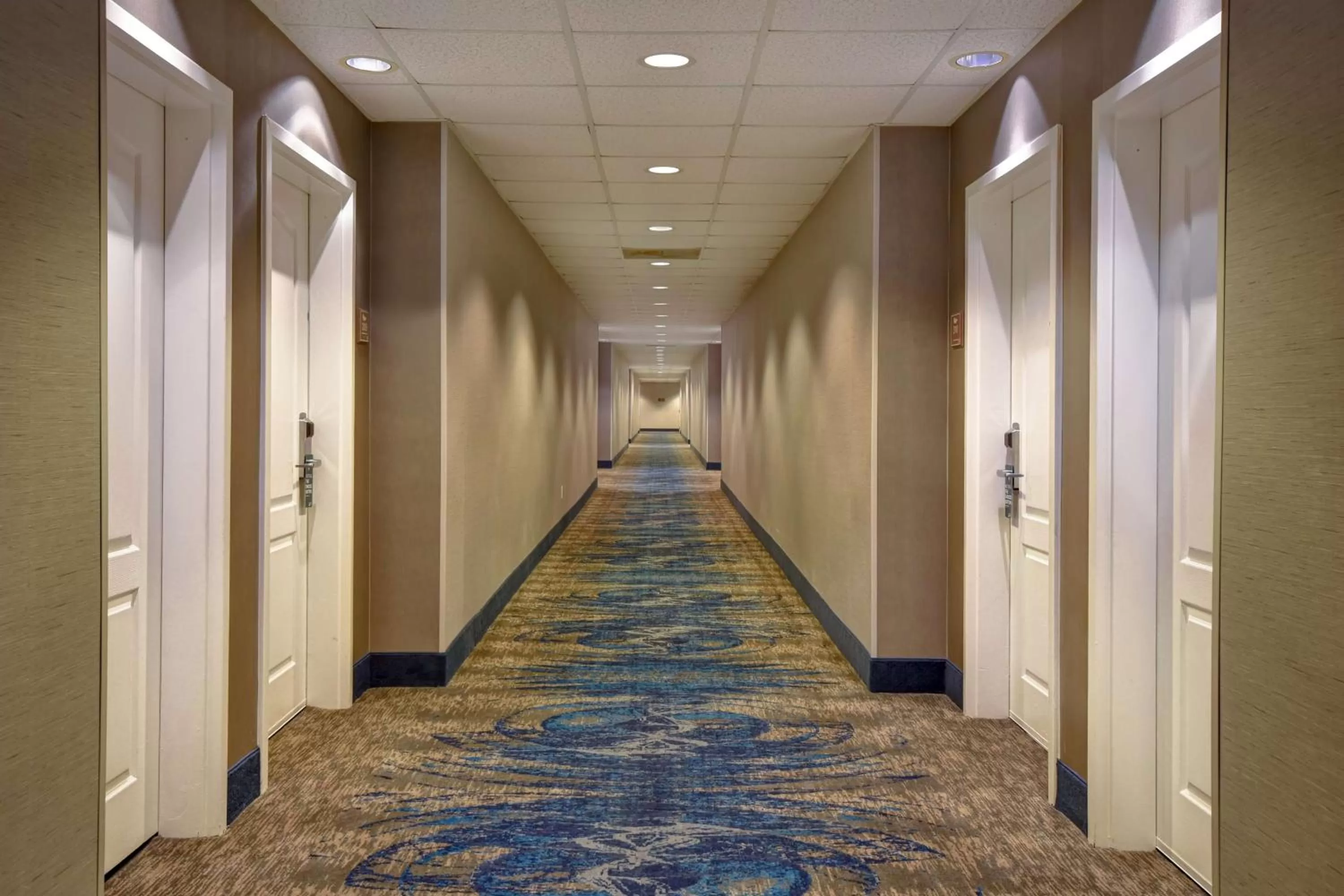 Other in Homewood Suites By Hilton HOU Intercontinental Airport