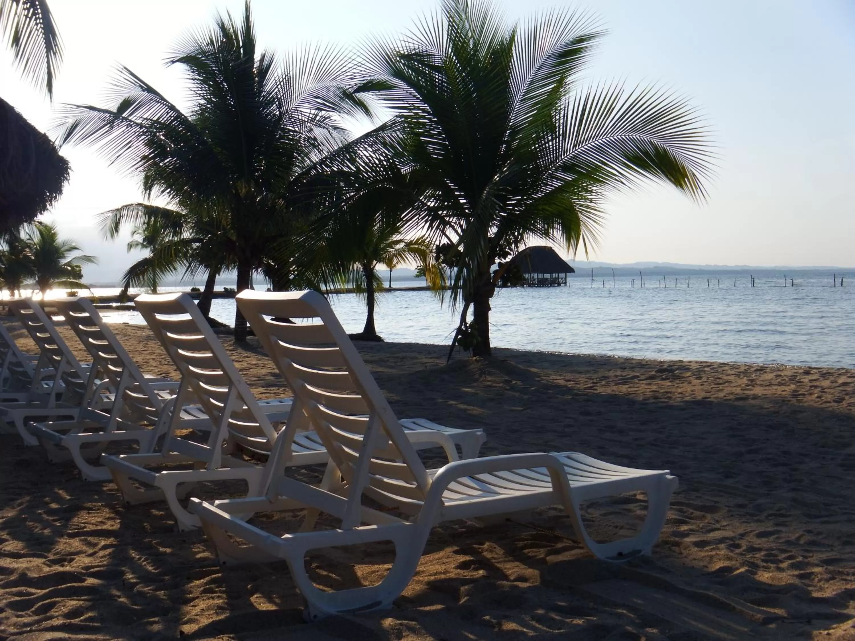 Beach in Amatique Bay Hotel