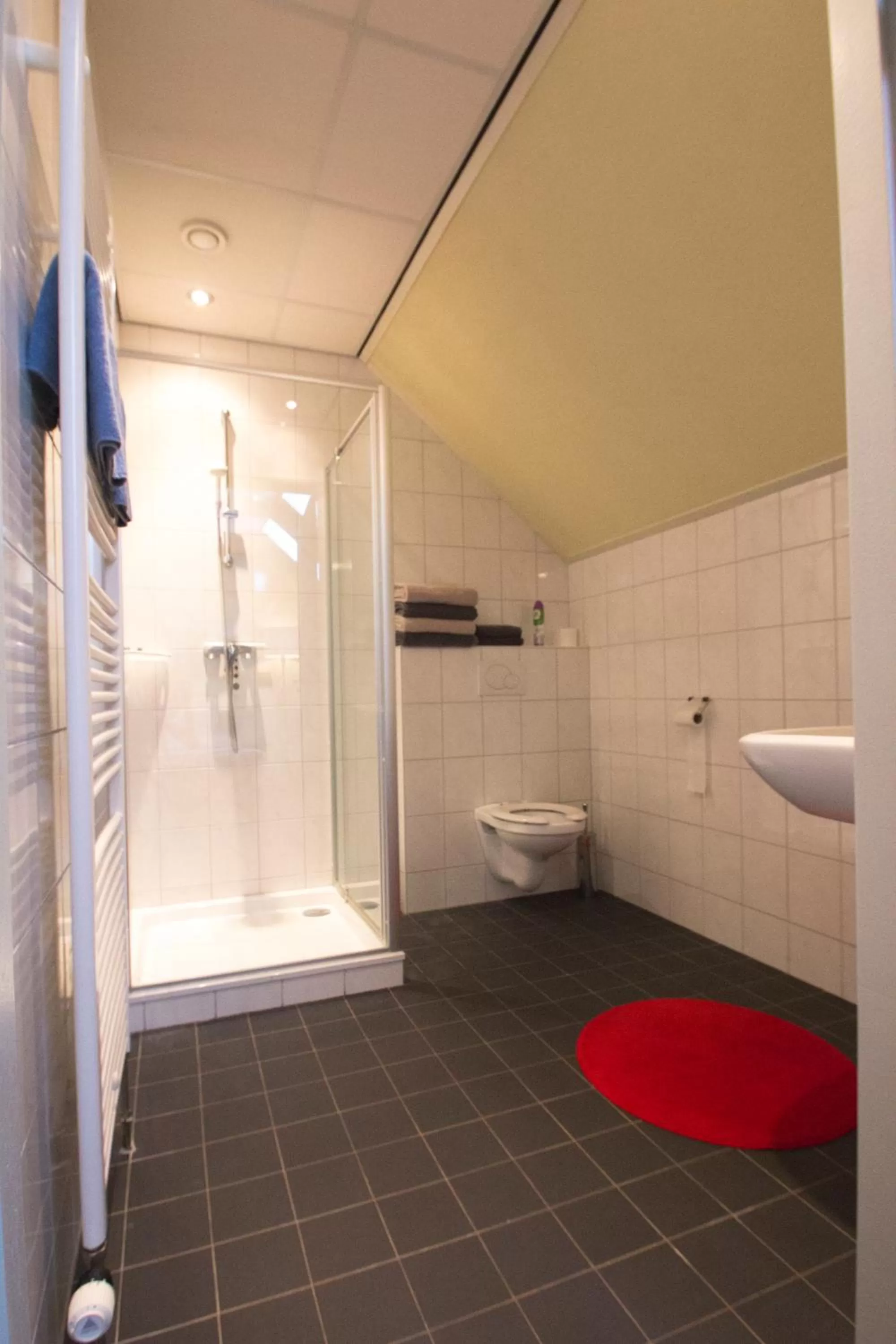 Bathroom in De Kapschuur