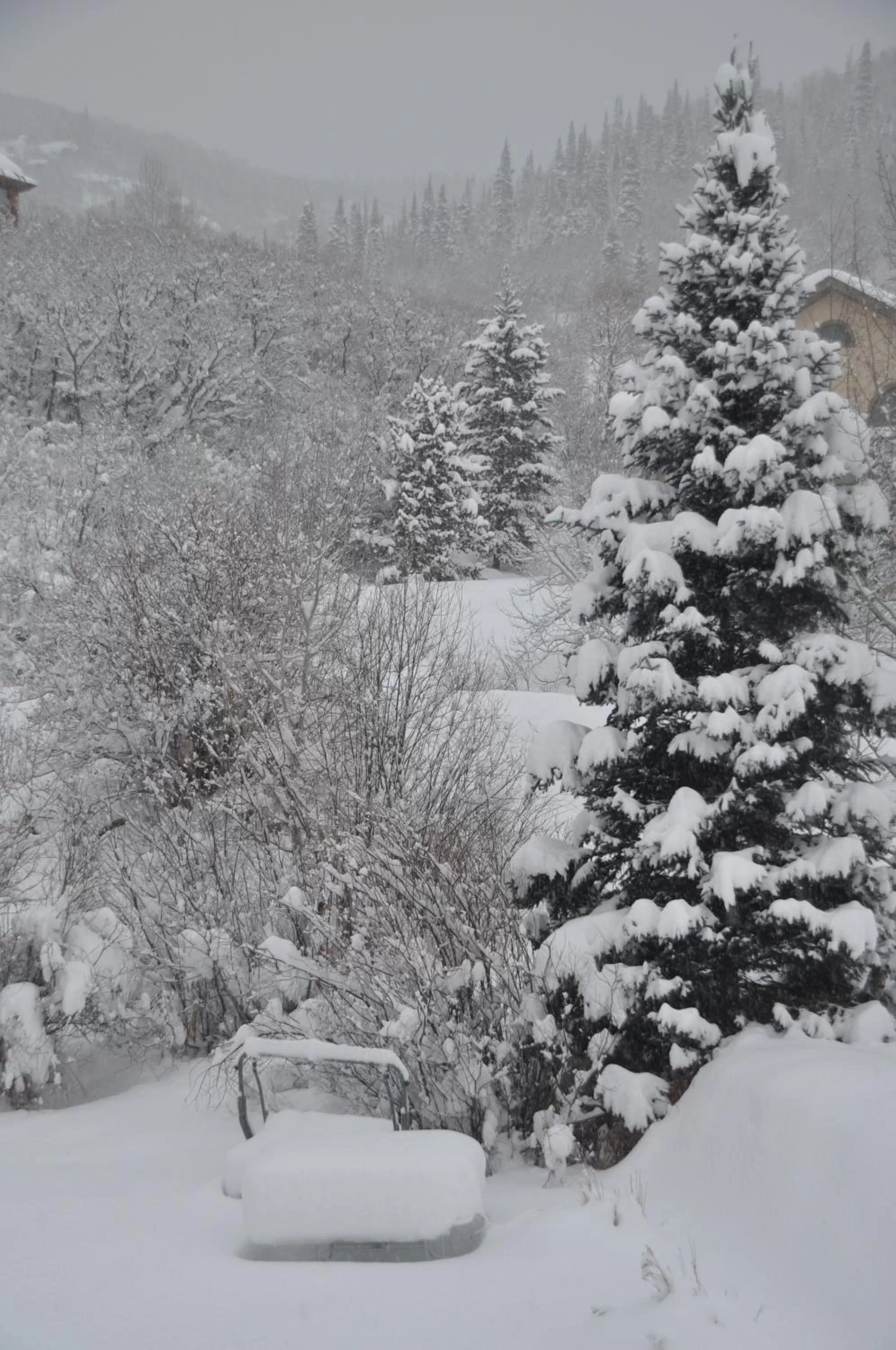 Winter in Chalet Val d'Isere