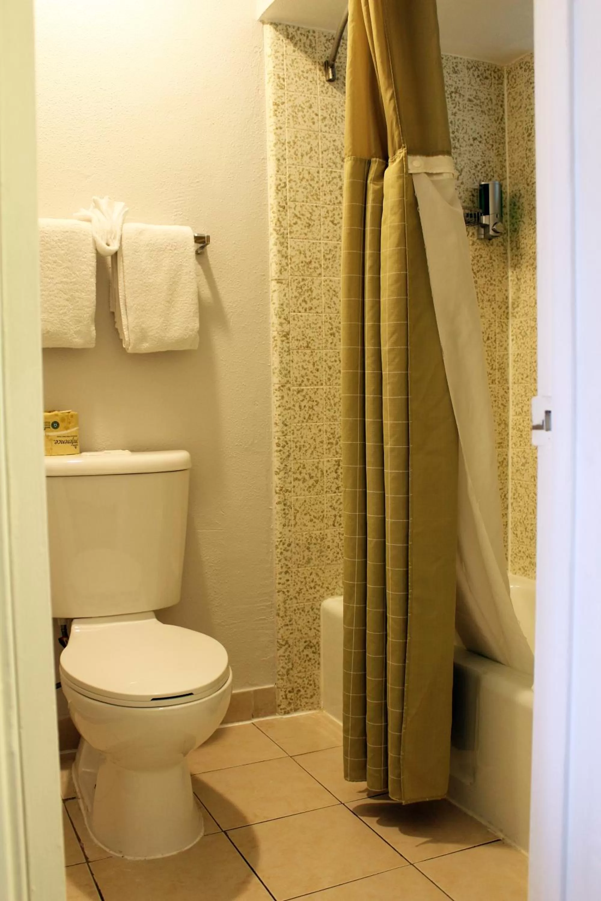 Bathroom in Rodeway Inn Santa Clara El Camino Real