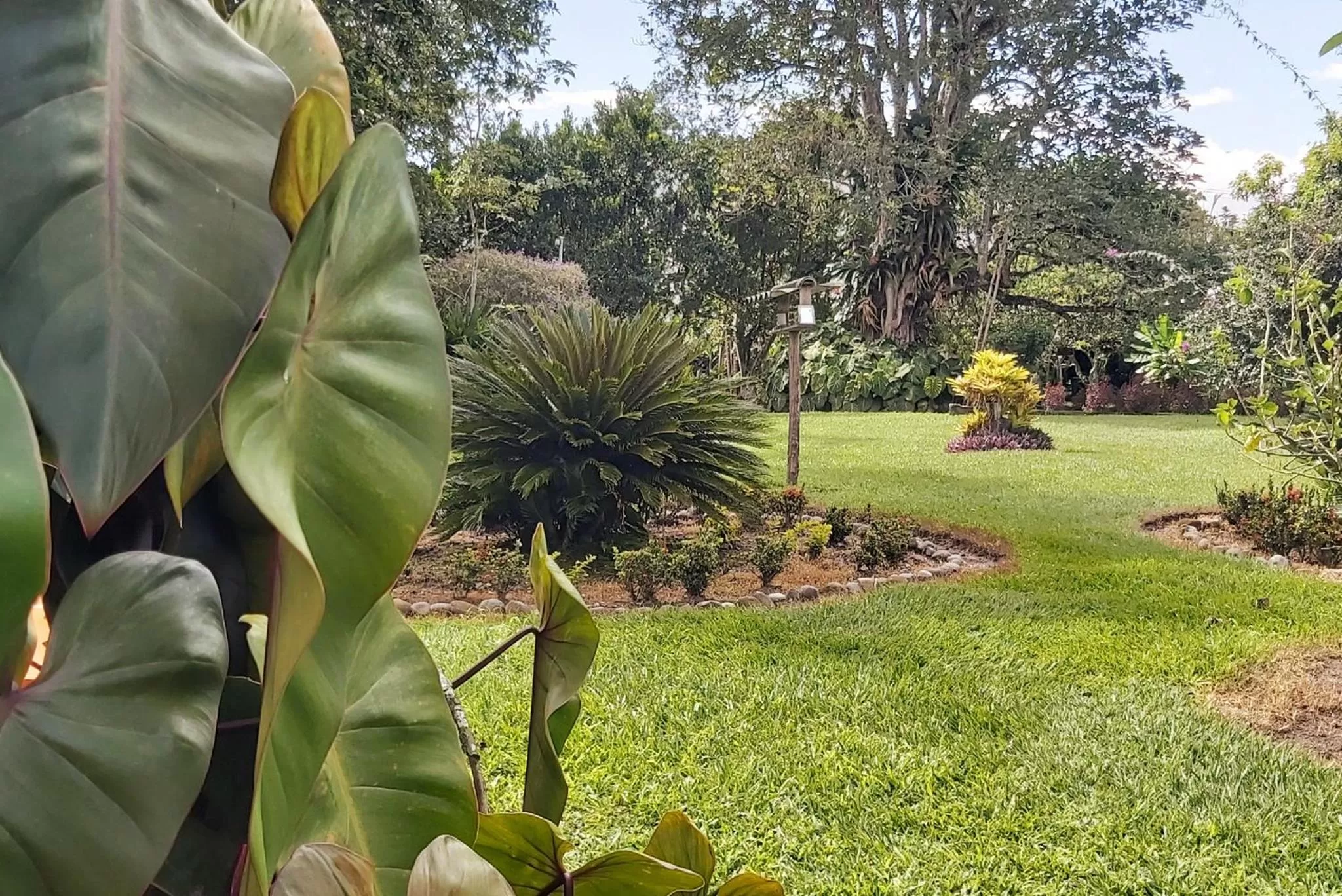 Garden in Balsora Hotel Boutique