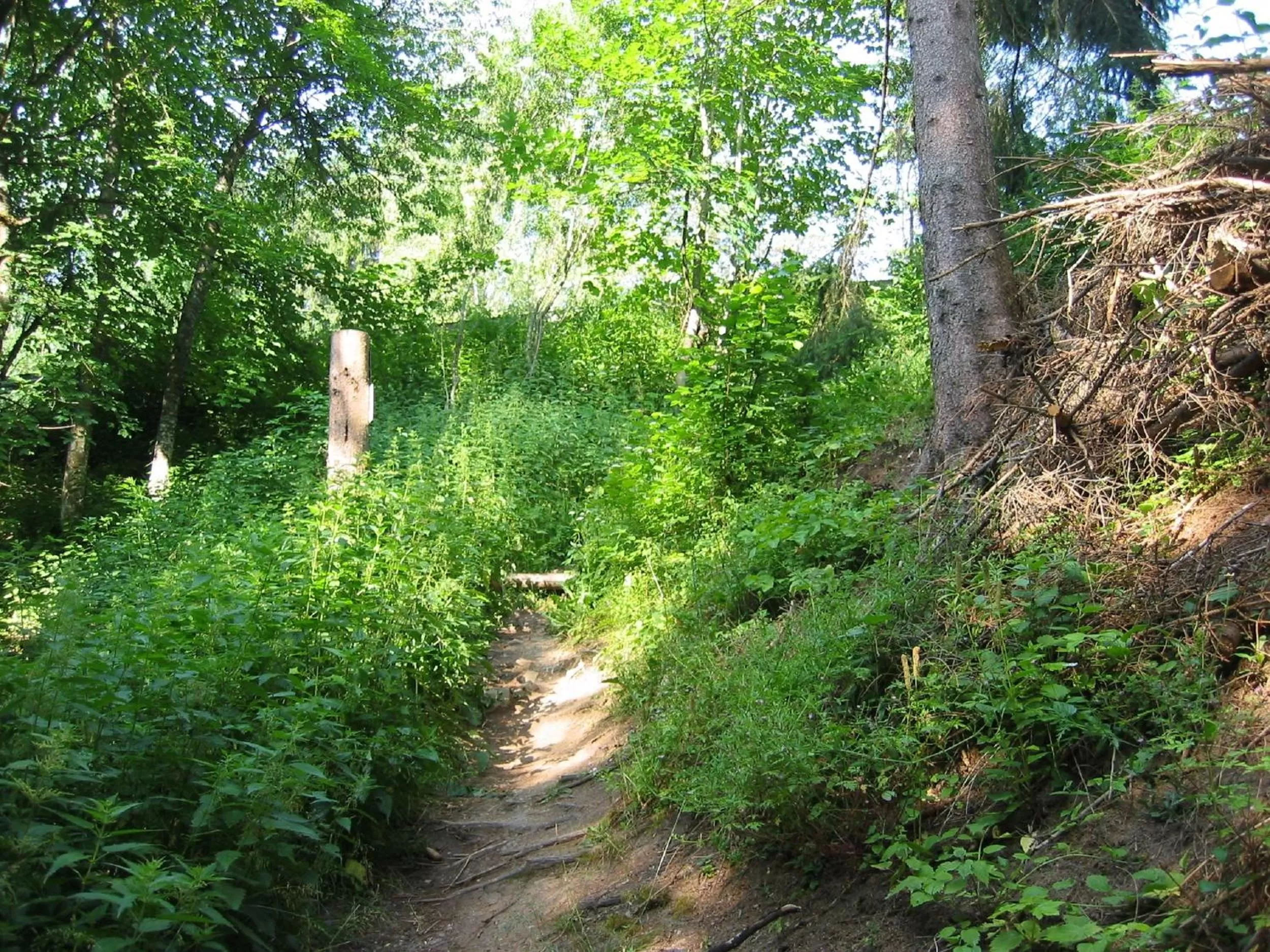 Area and facilities in Wellnesshotel Sonnenhof & Sonnhalde