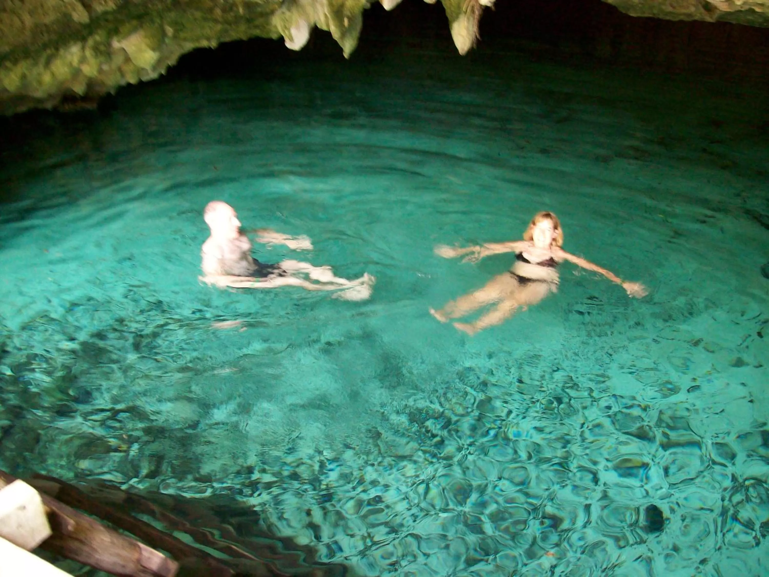 Nearby landmark, Other Animals in The Pickled Onion Eco-Boutique B&B