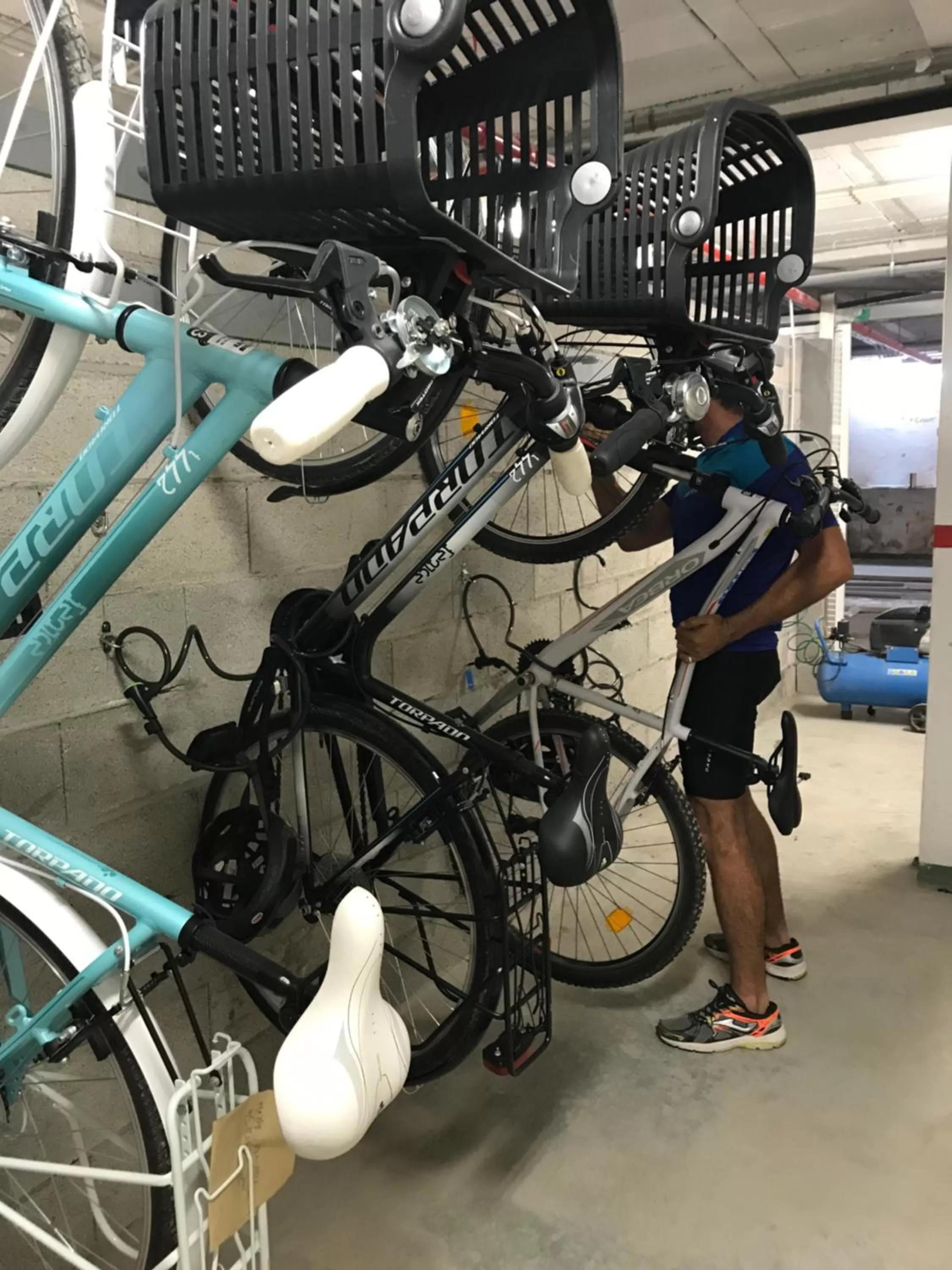 Cycling in Apartamentos Royal Life