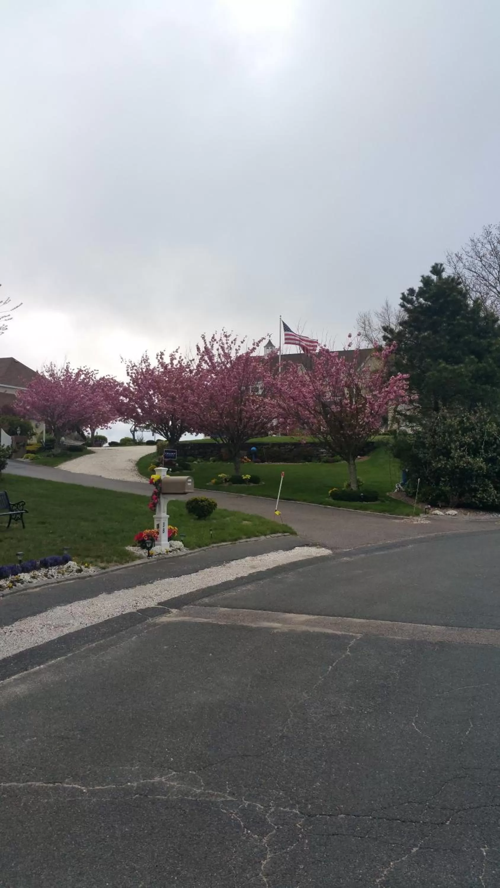 Inn 38 Oak Bluff Circle