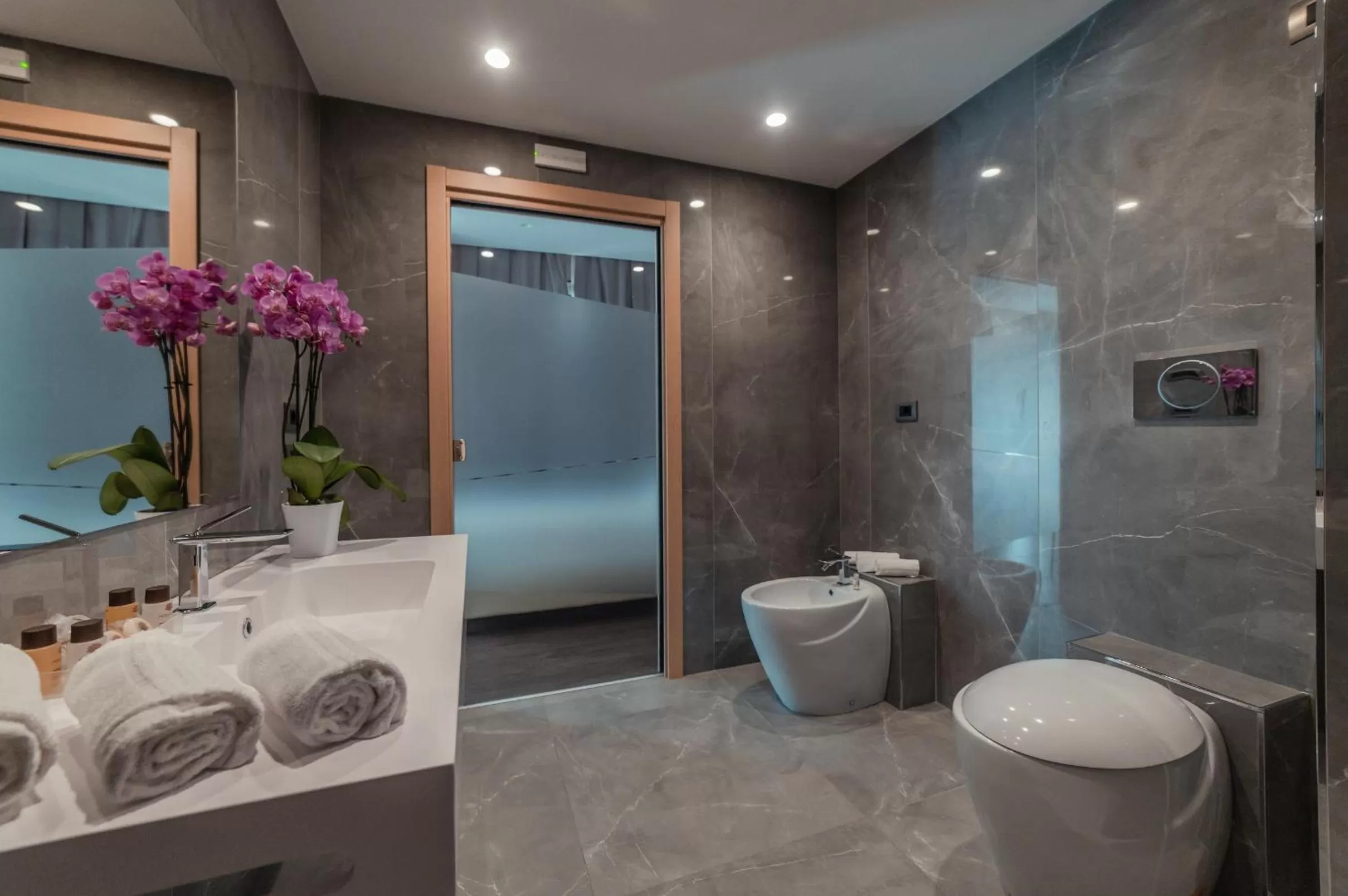 Shower in Hotel Continental