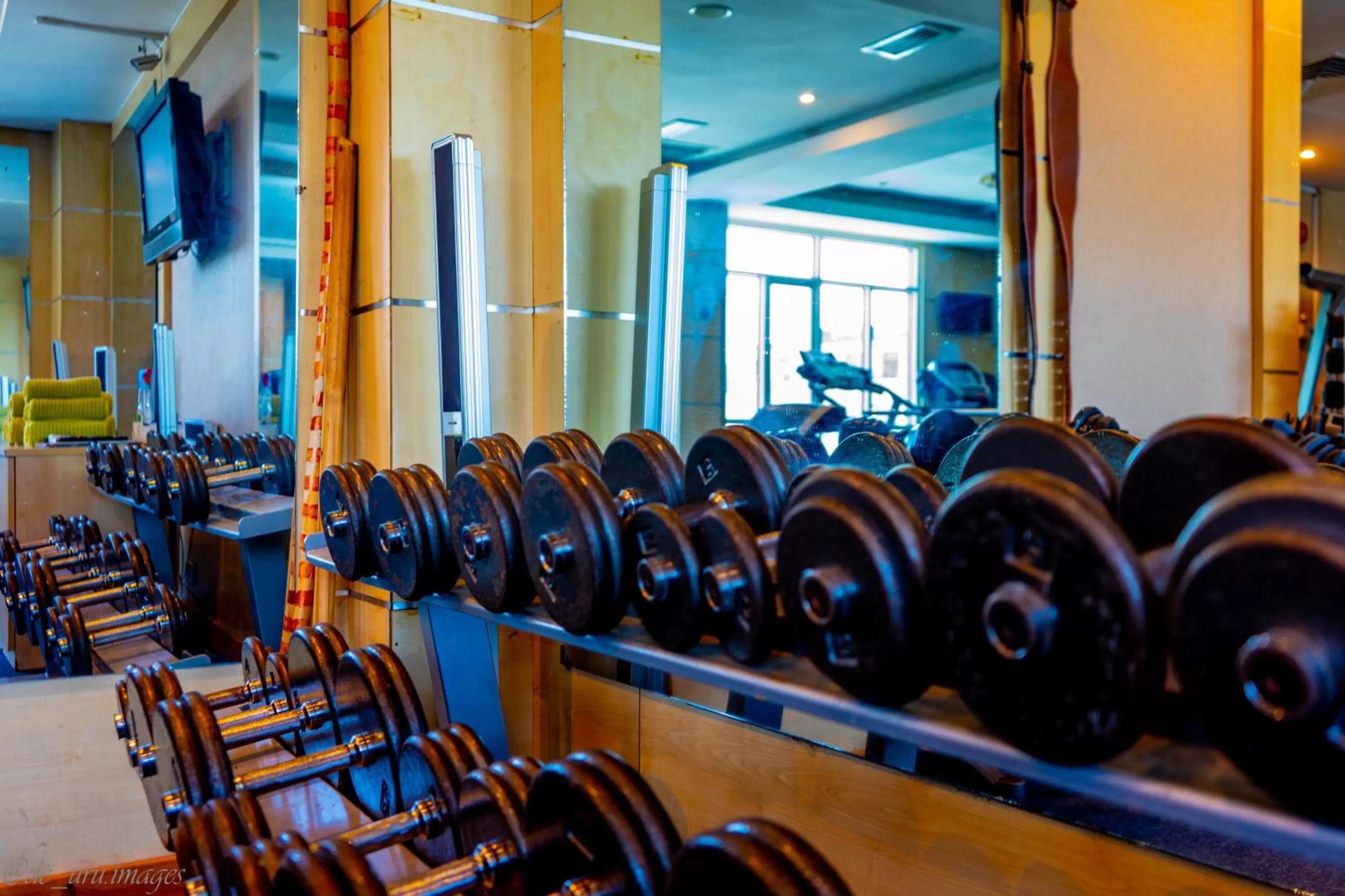 Fitness centre/facilities in Holiday Inn Dar Es Salaam by IHG