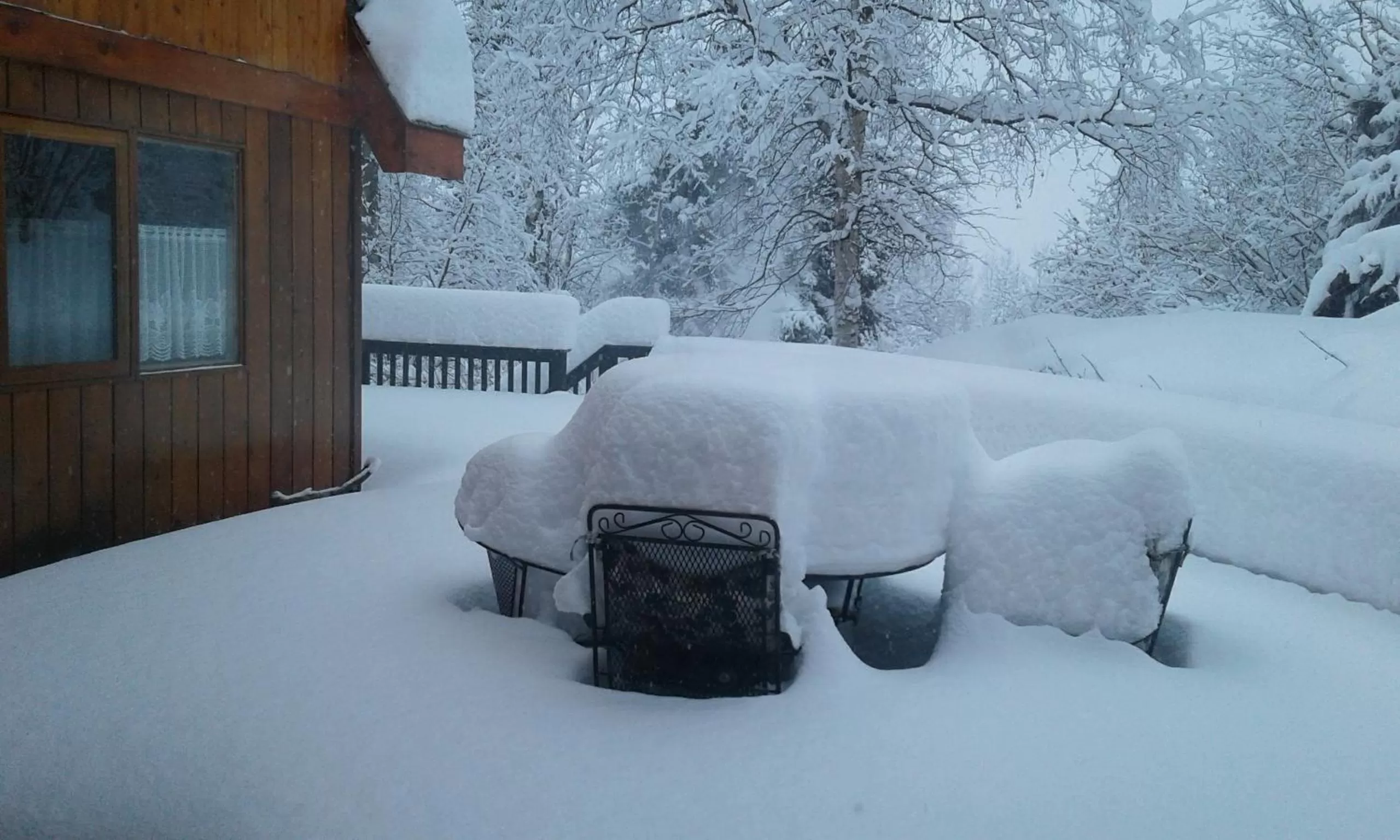 Alaska Chalet Bed & Breakfast