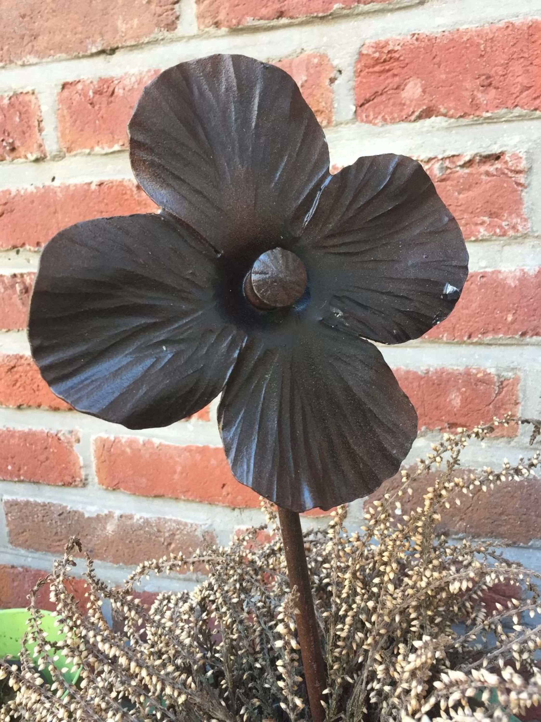 Garden, Other Animals in B&B Sabbajon