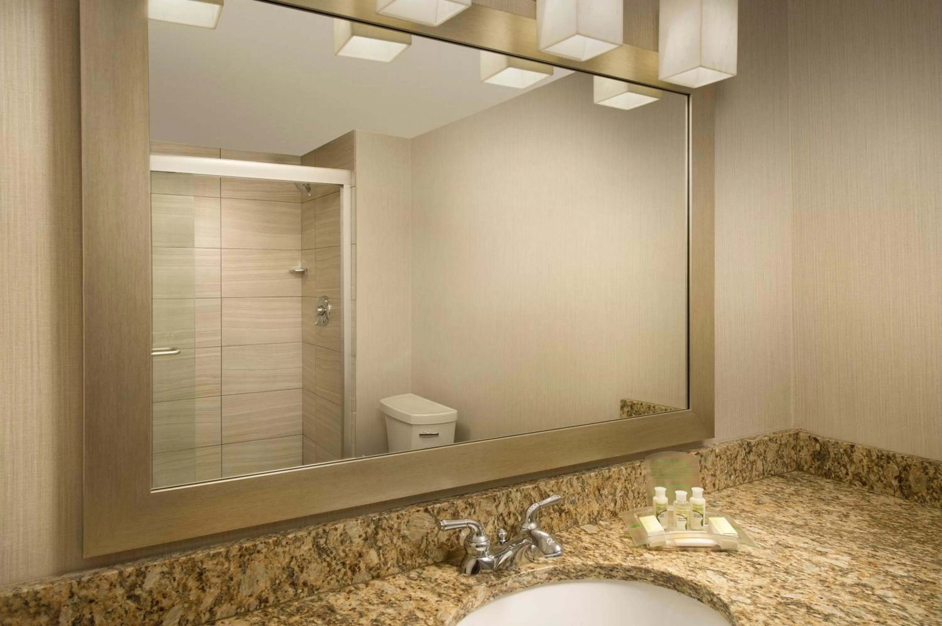 Bathroom in Holiday Inn El Paso Airport by IHG