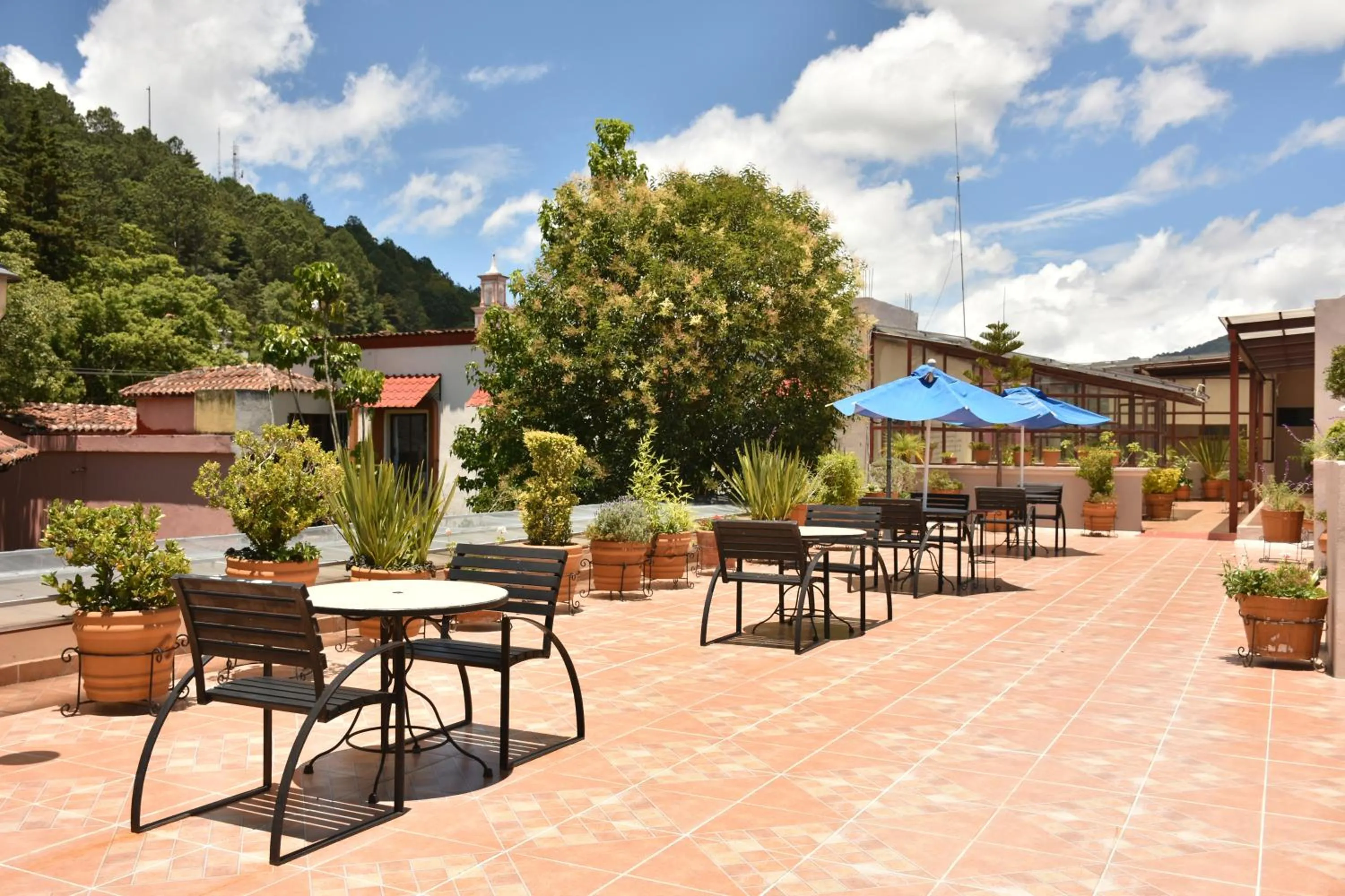 Balcony/Terrace in Hotel Mansion Del Valle