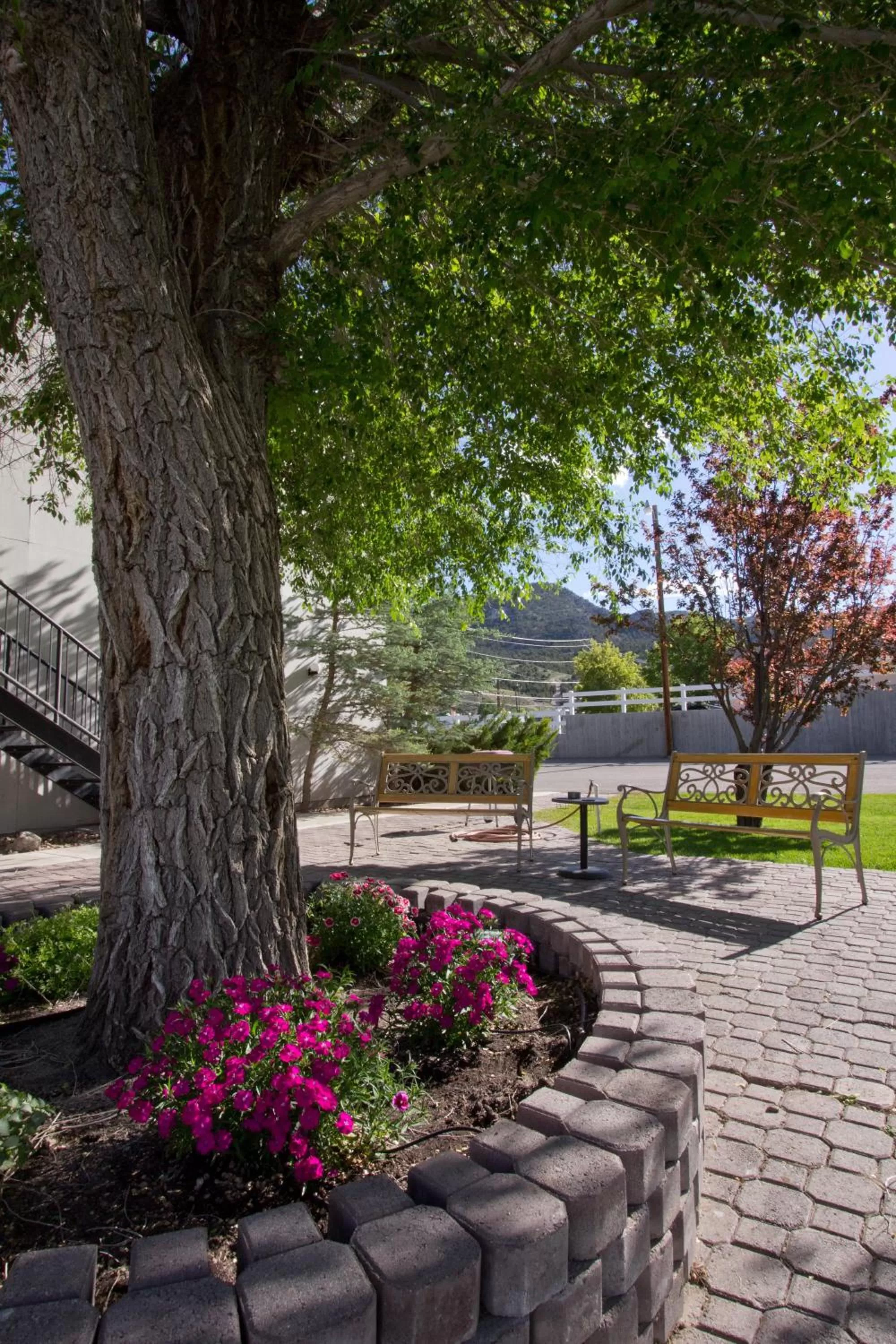 View (from property/room) in Jailhouse Motel and Casino