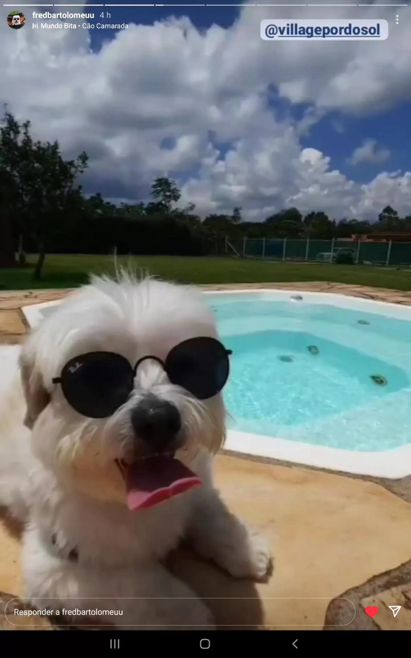 Pets in Pousada Village Por do Sol by Concavus