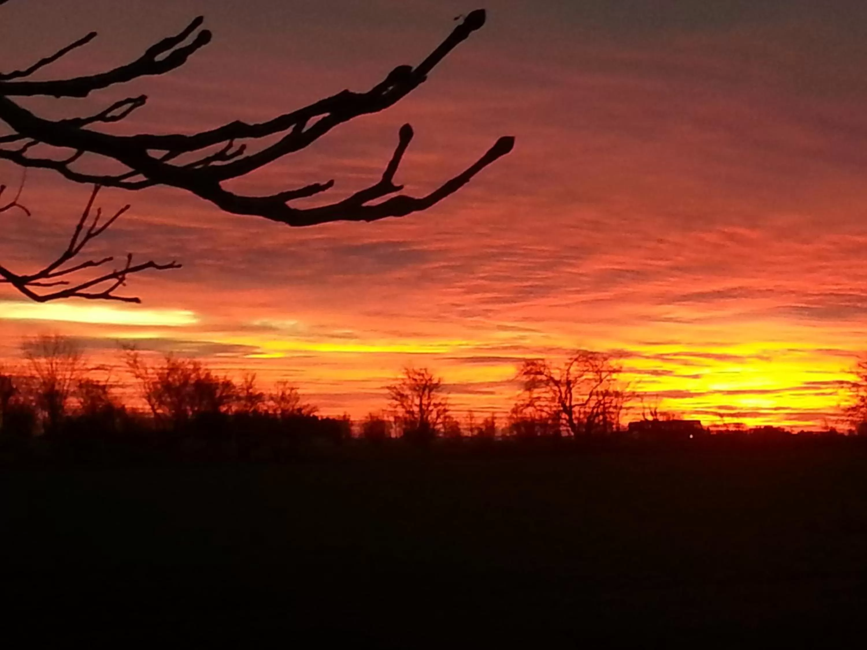 Natural landscape, Sunrise/Sunset in Roskilde B&B