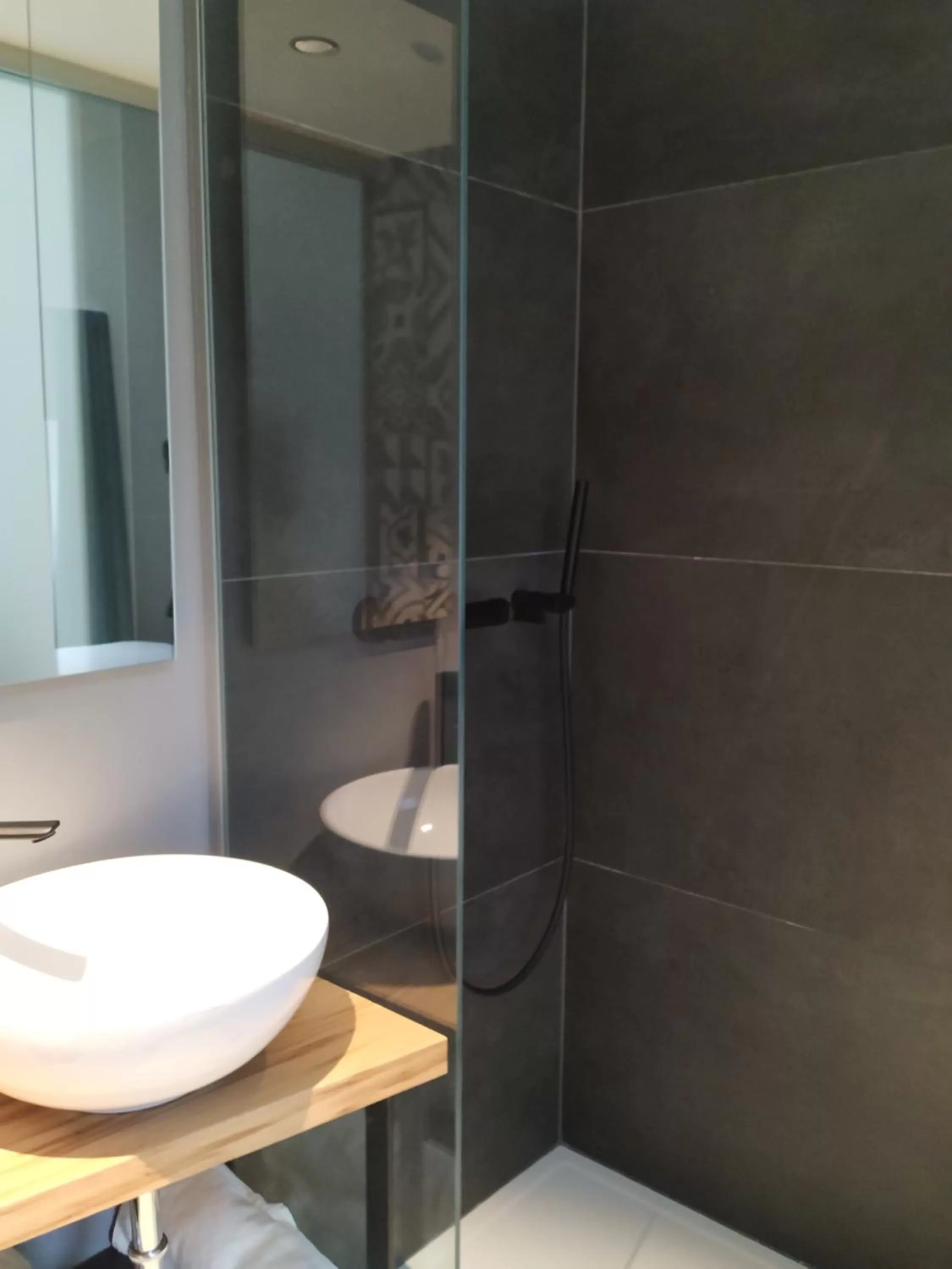 Bathroom in B & W KRIŽ