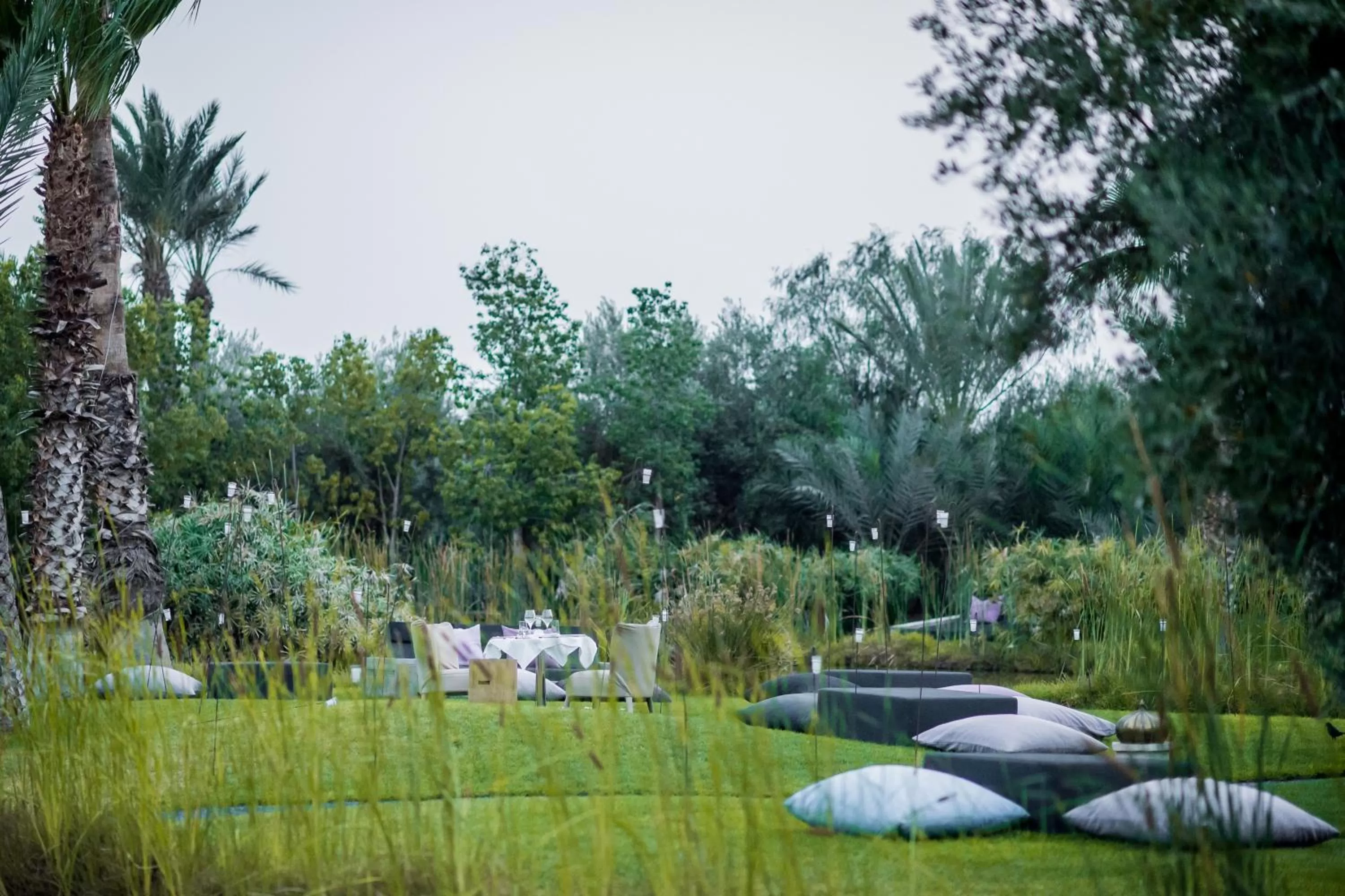 Garden in Palais Namaskar