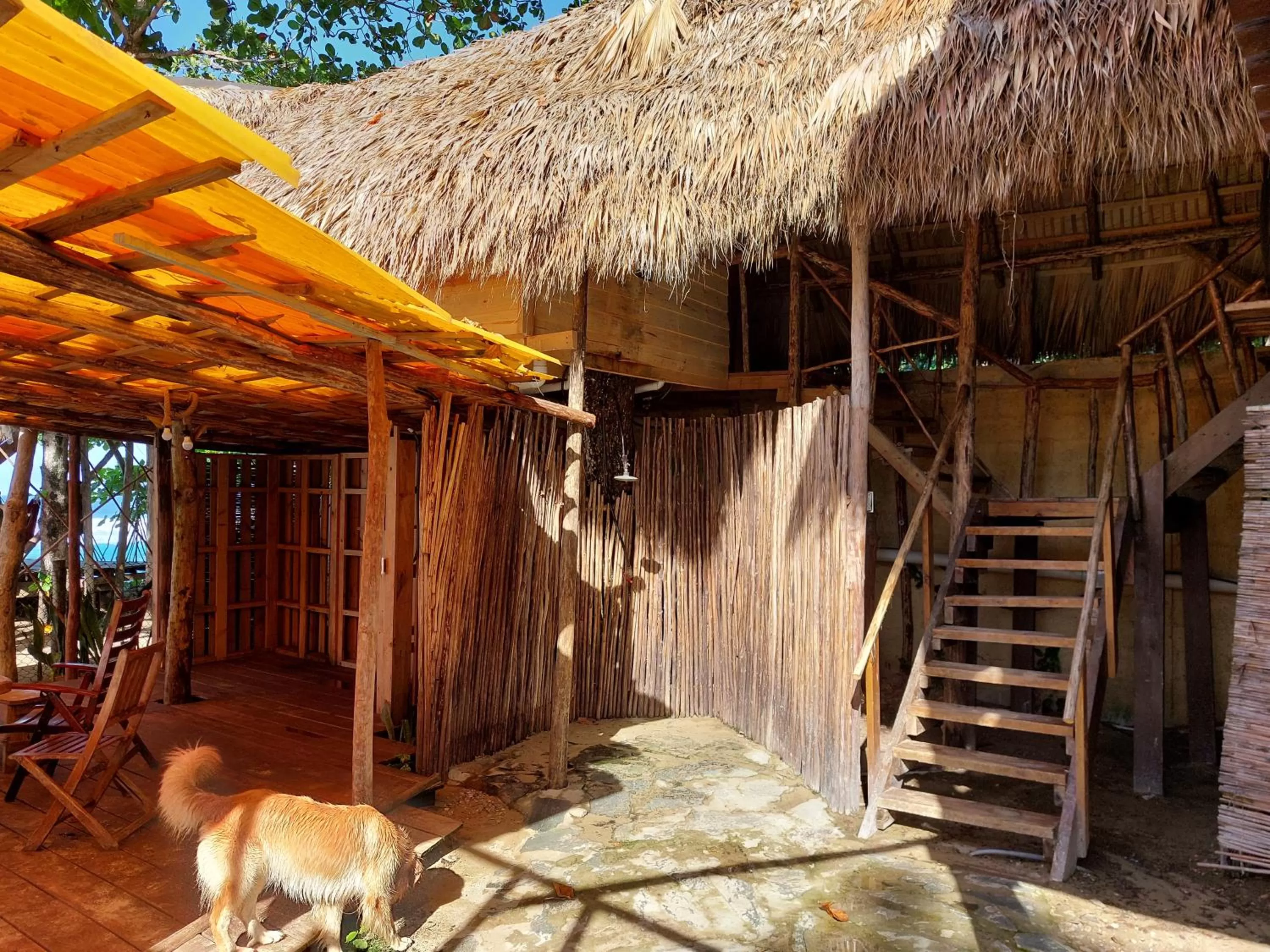 Cabarete Maravilla Eco Lodge Boutique Beach Surf Encuentro, Kite, by AA Crypto Group