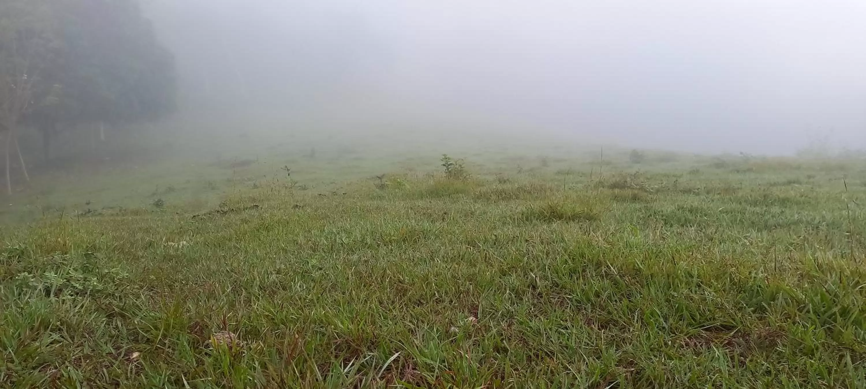 Activities in Hotel Rosalila