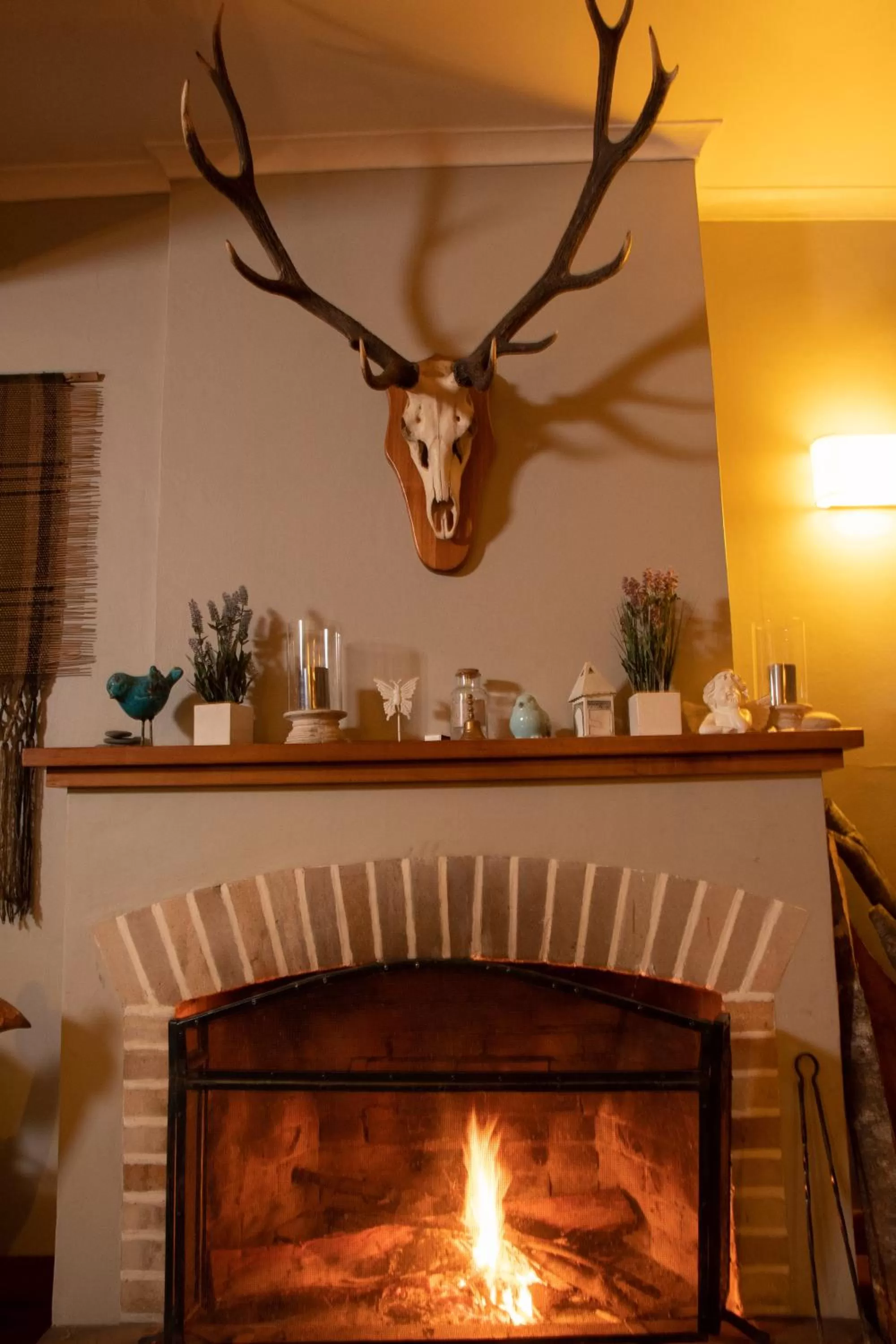 Property building in Hotel El Ciervo