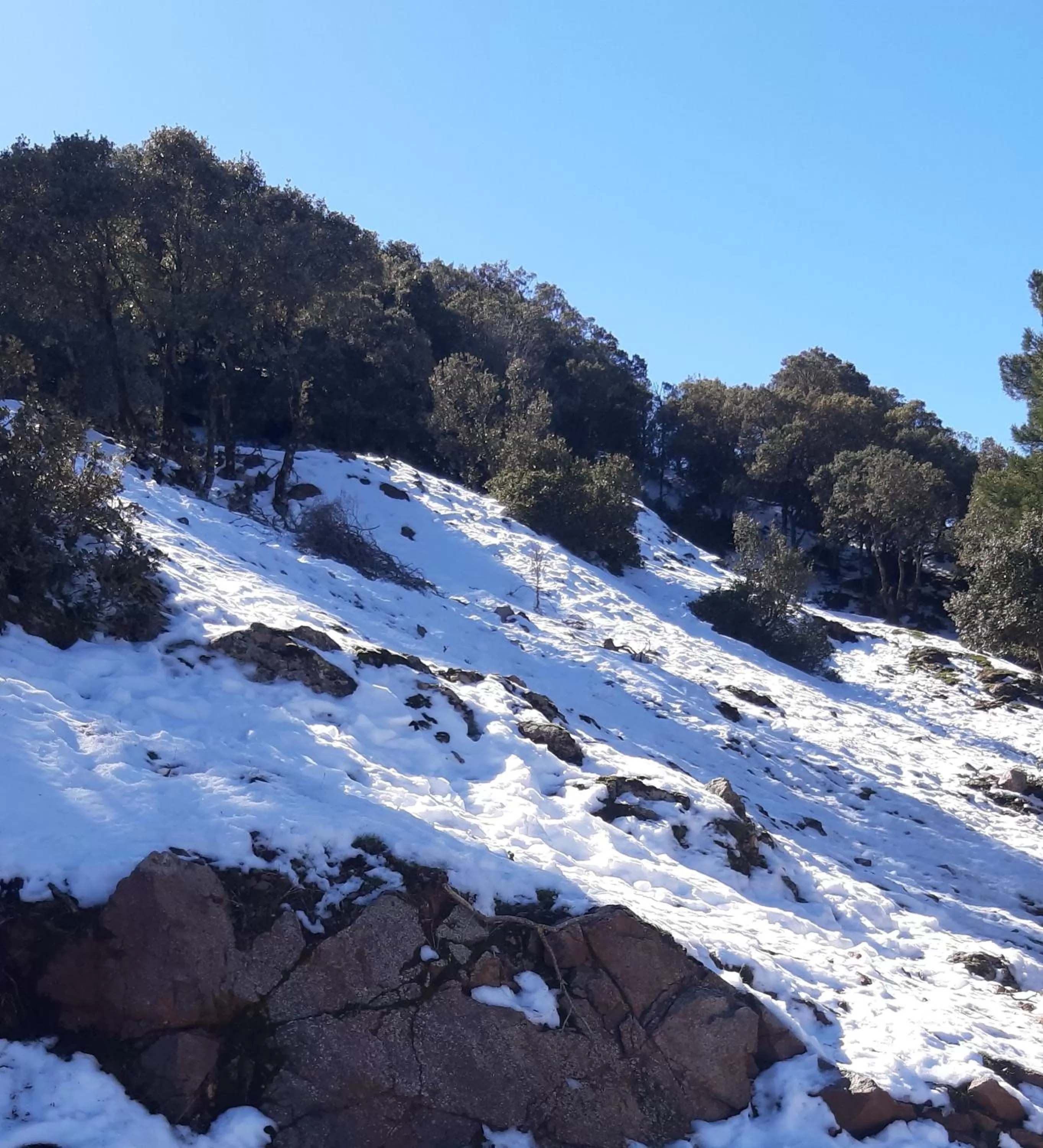 Winter in TAZEKKA PARC HOTEL