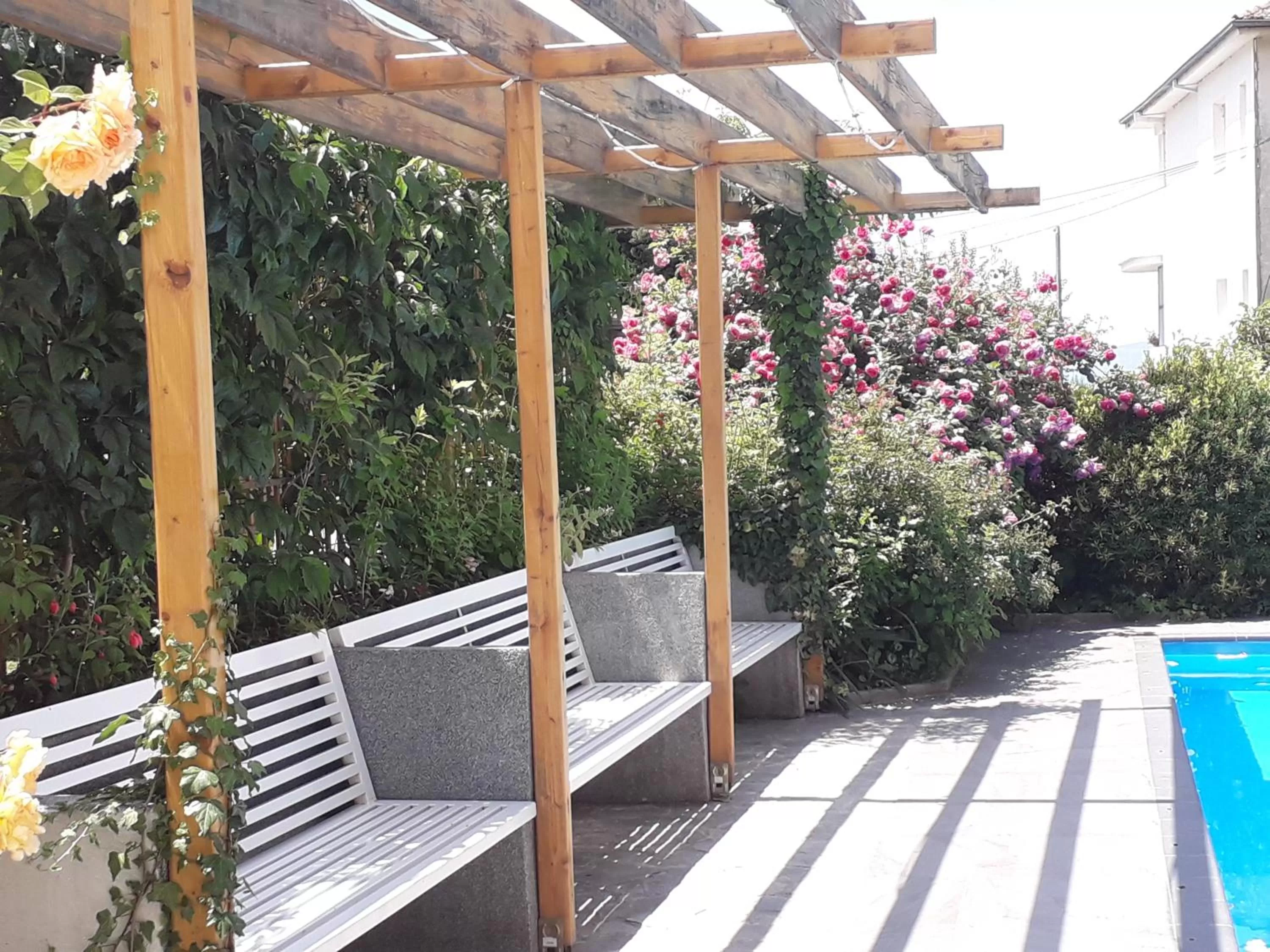 Garden in Villa Jordan