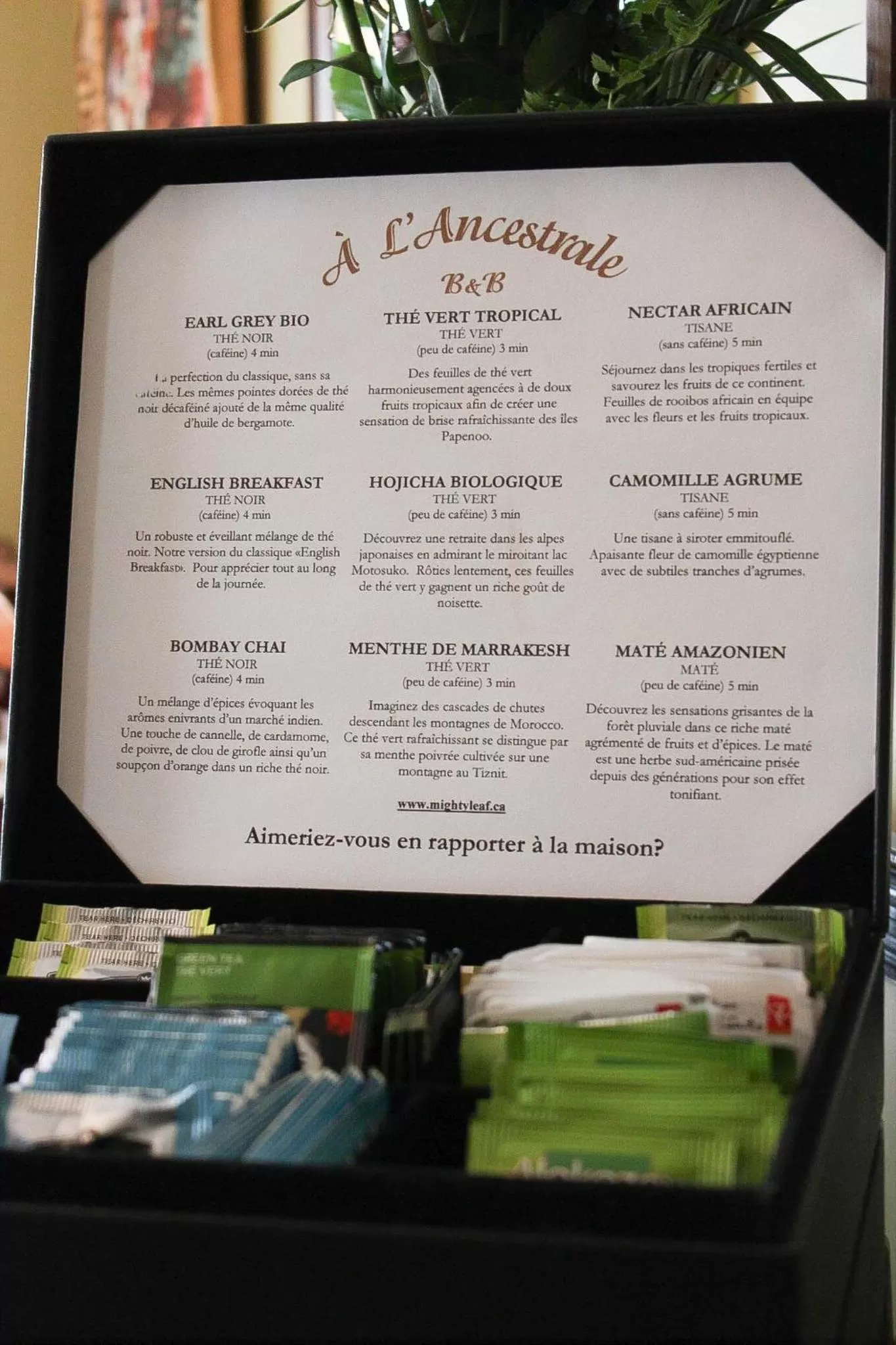 Decorative detail in À L'Ancestrale B&B