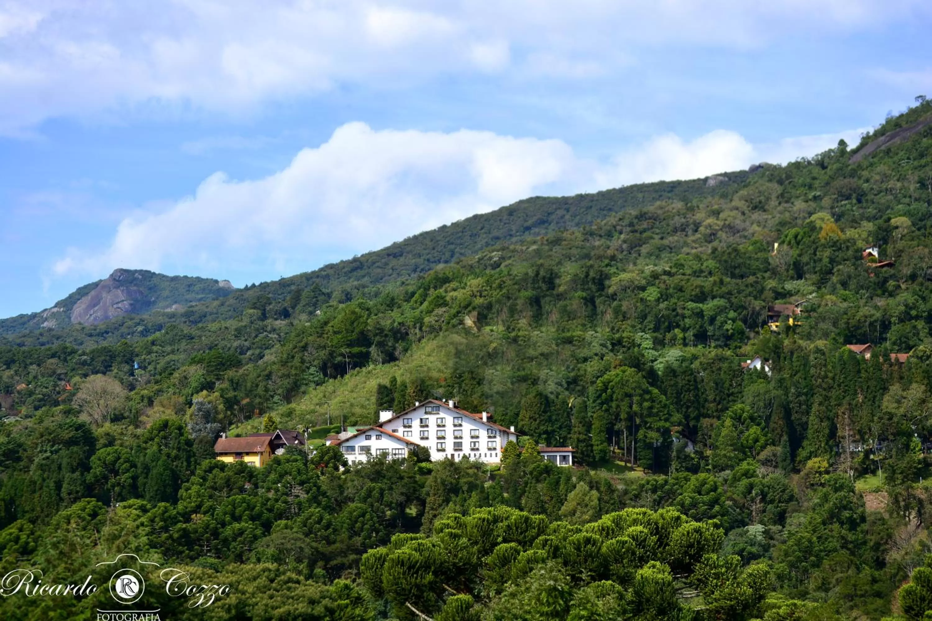 Natural landscape in Hotel Meissner Hof