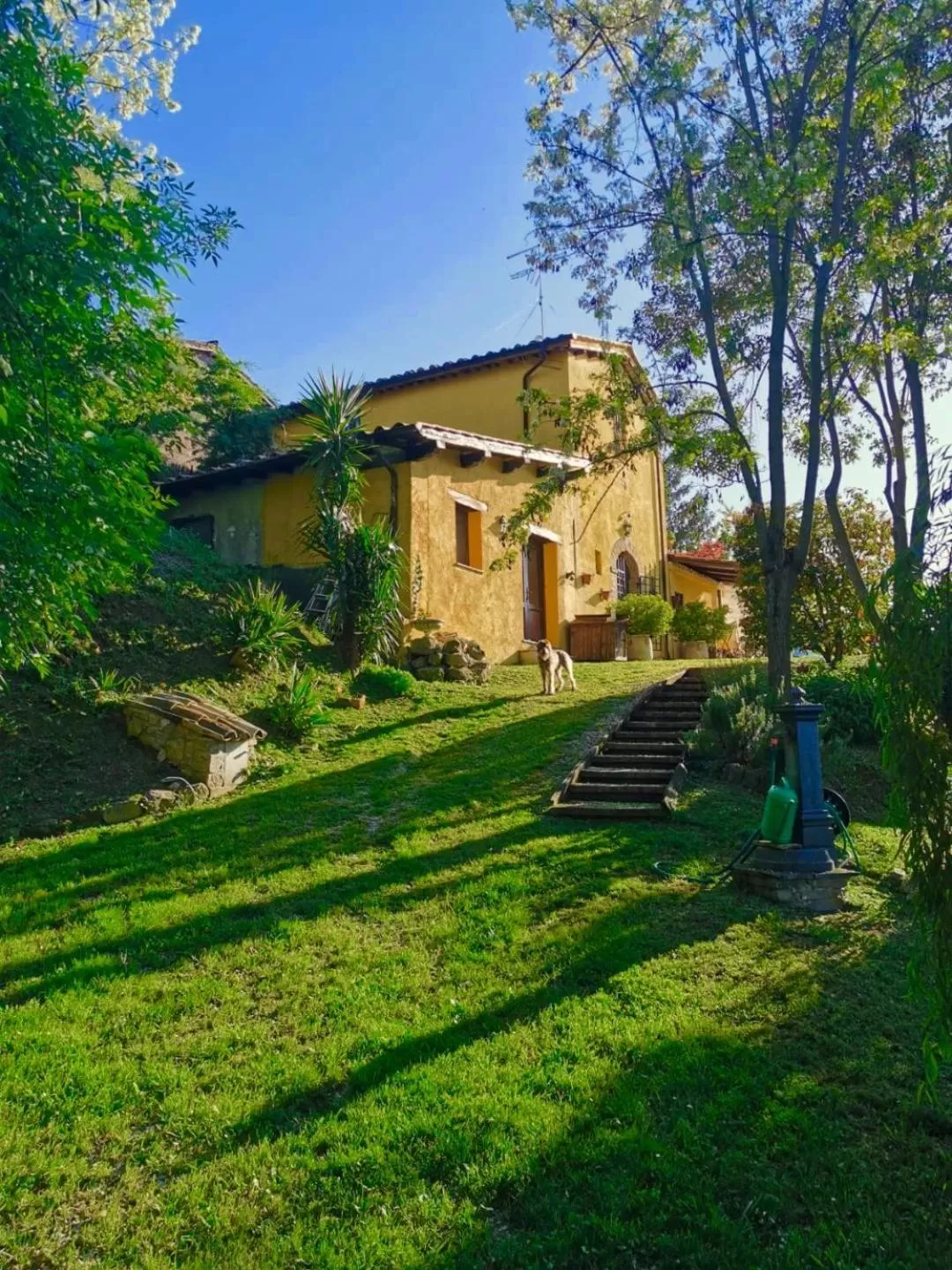 Property Building in Casale Druida