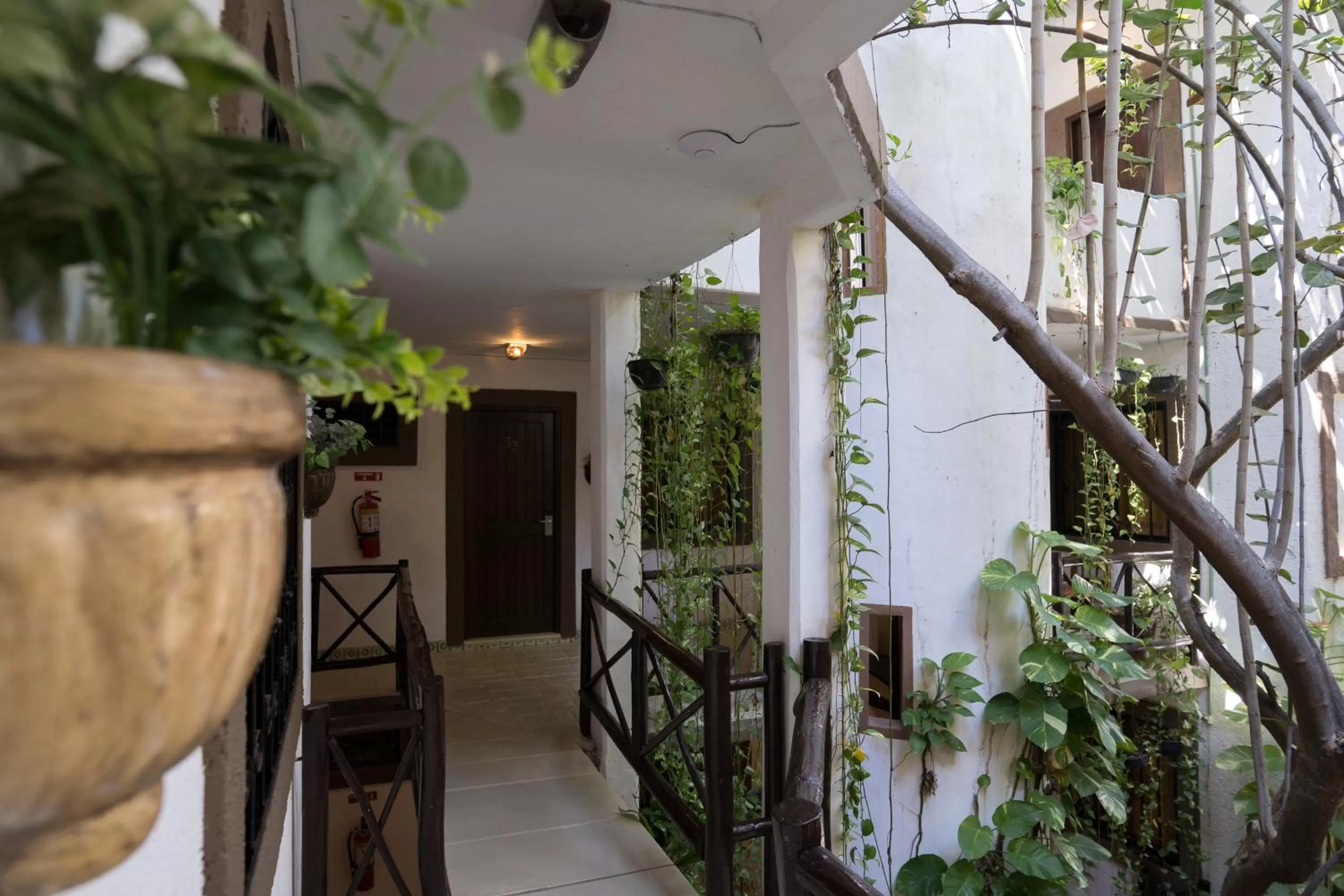 Posada Mariposa Boutique Hotel - 5th Avenue