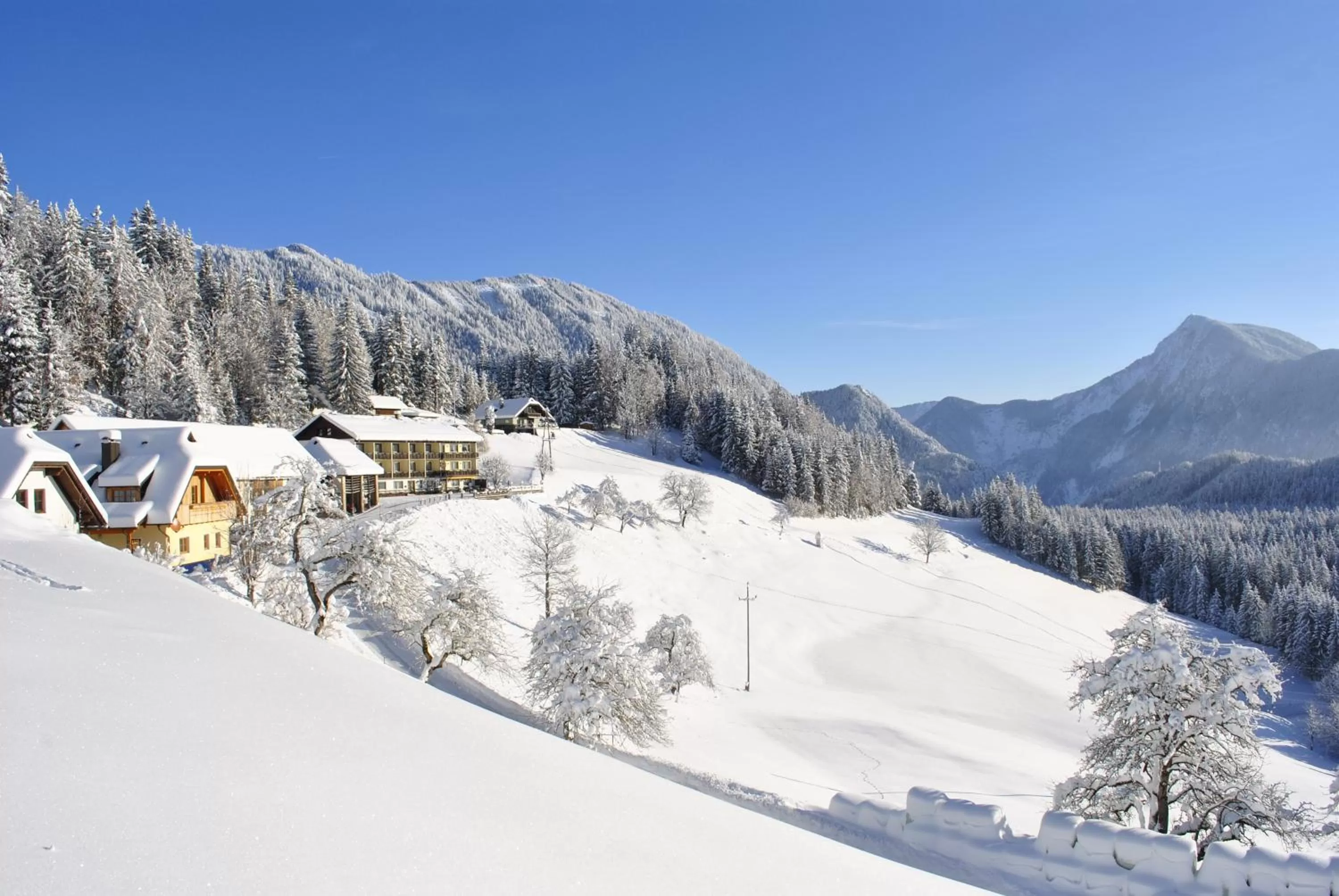 Day in Bed&Breakfast Lausegger