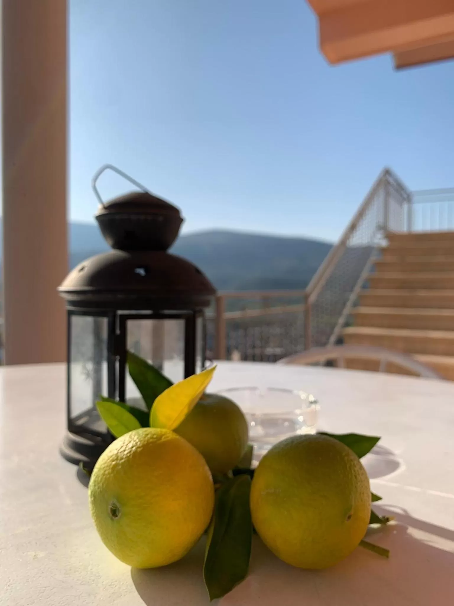 Balcony/Terrace in Guesthouse Villa Rosa Berat