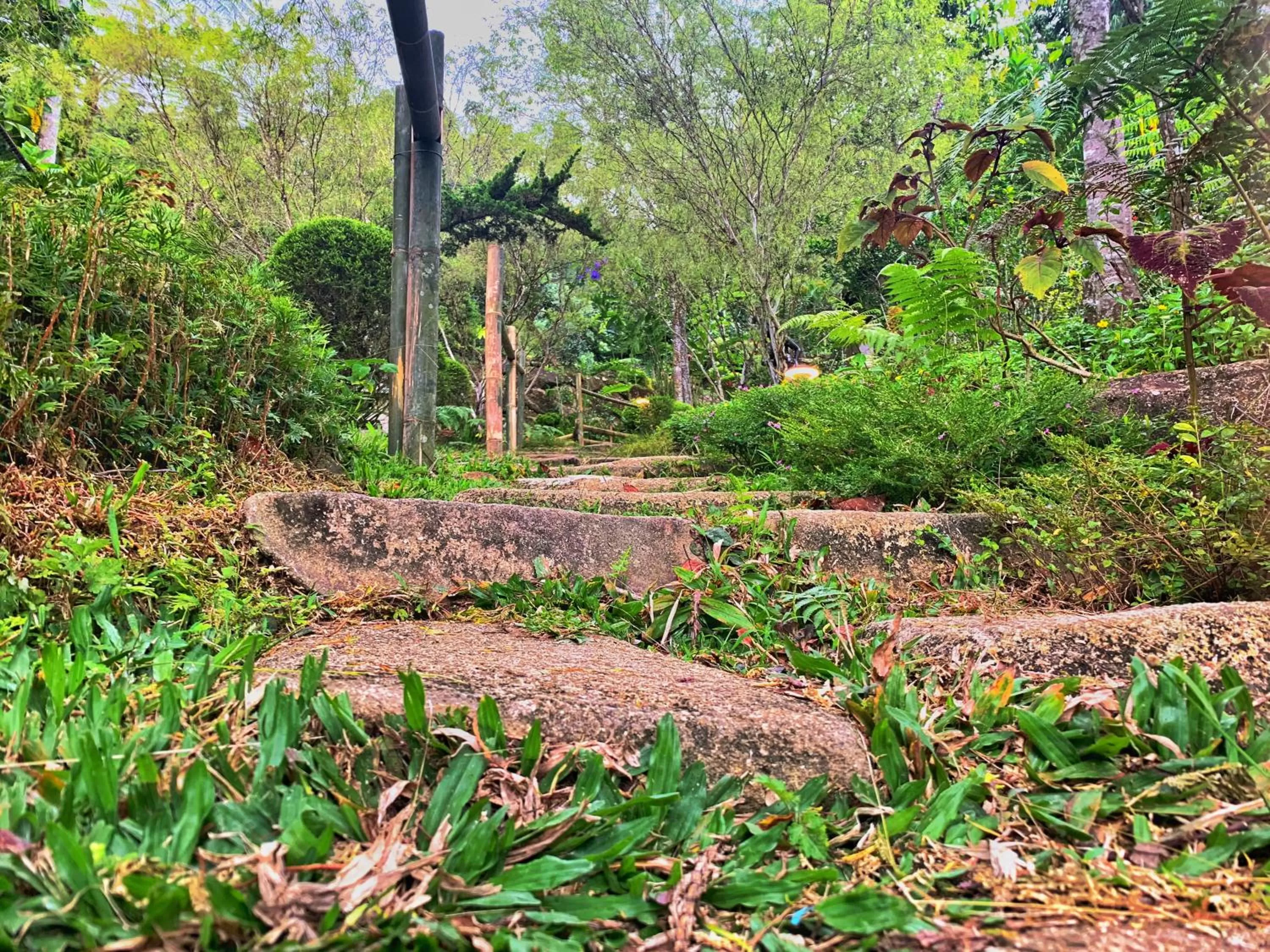 Harmony Valley Retreat