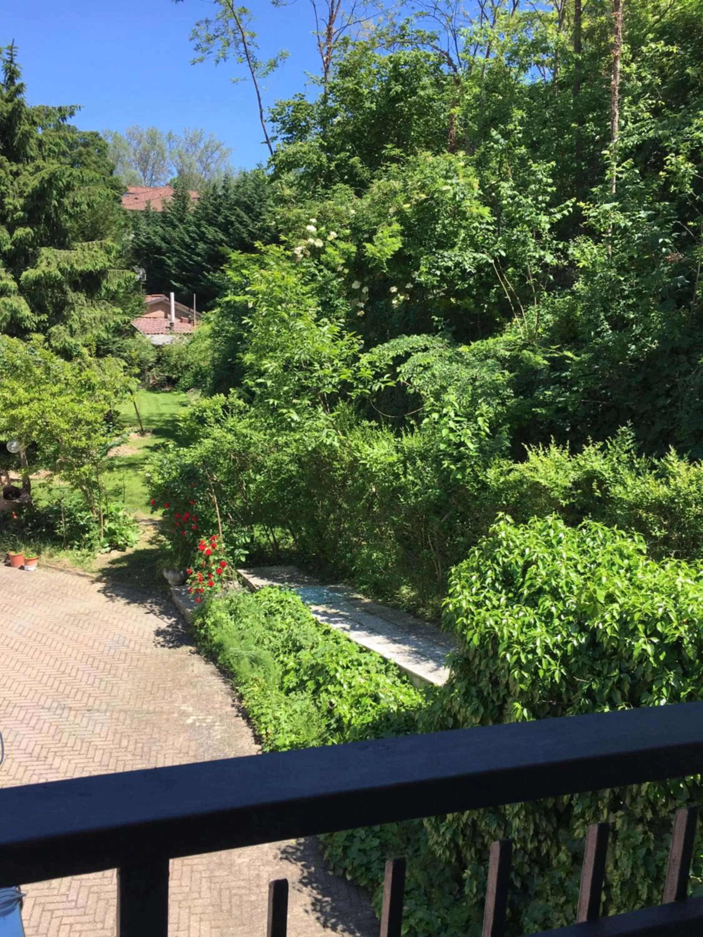 Rossella alla Villarella dei Tulipani