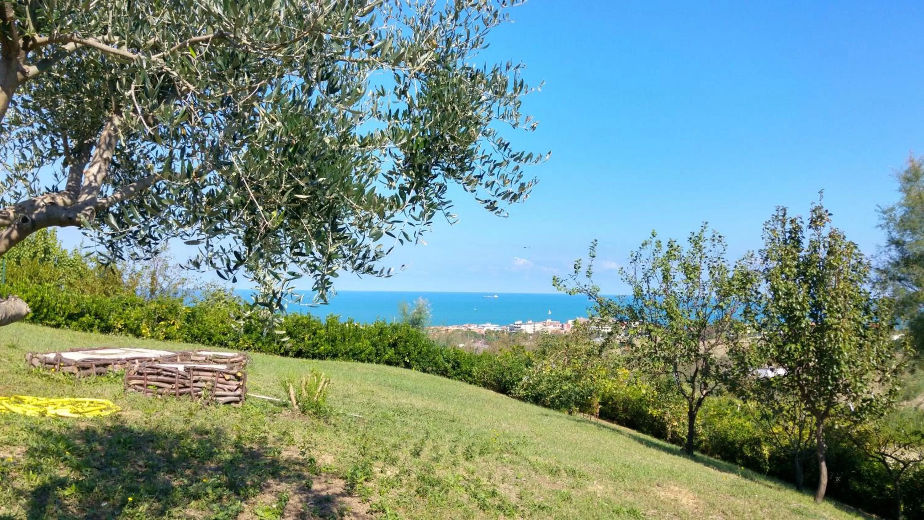 Garden in Vistazzurra B&B