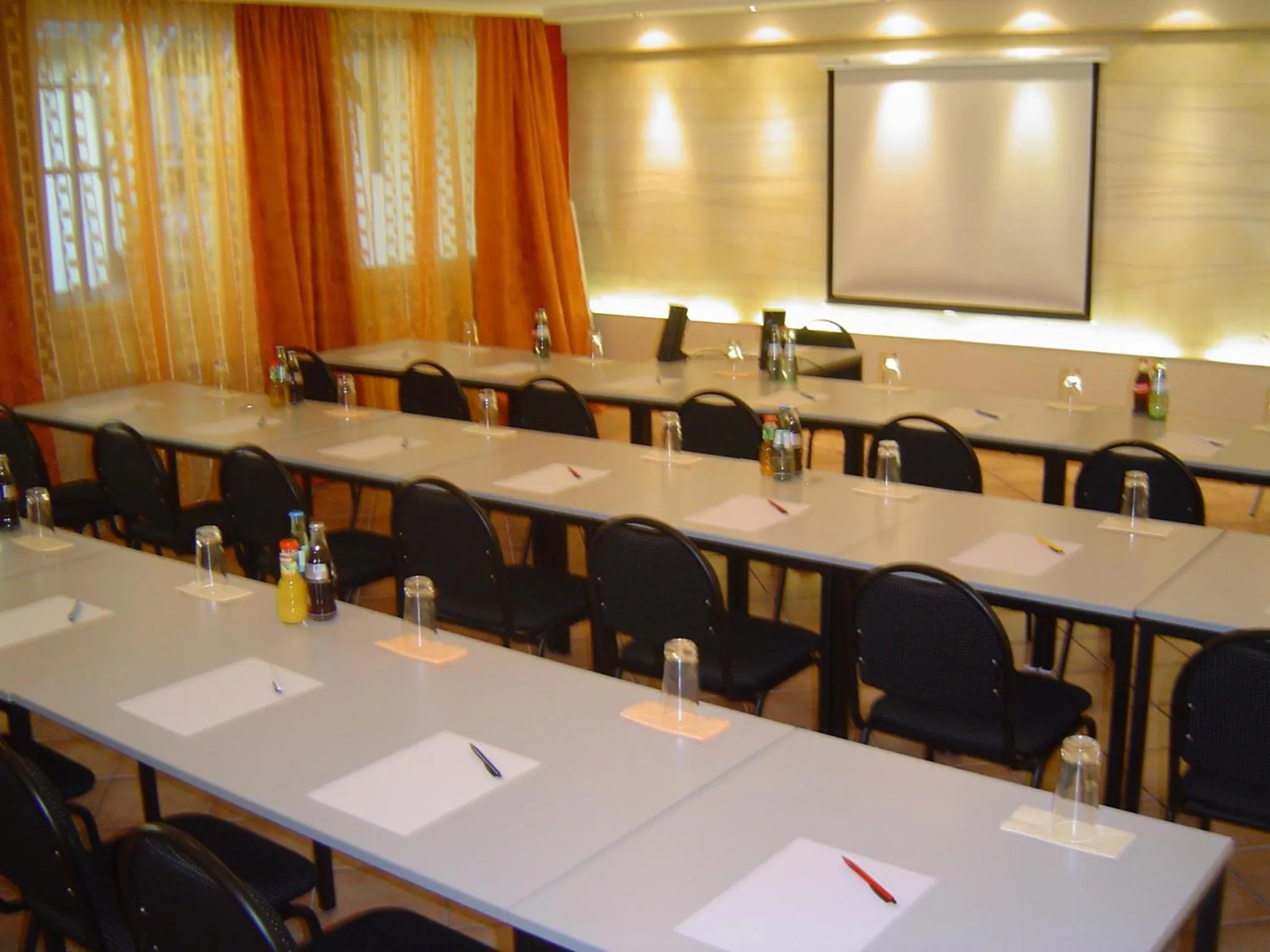 Business facilities in Hotel Petersburg Superior