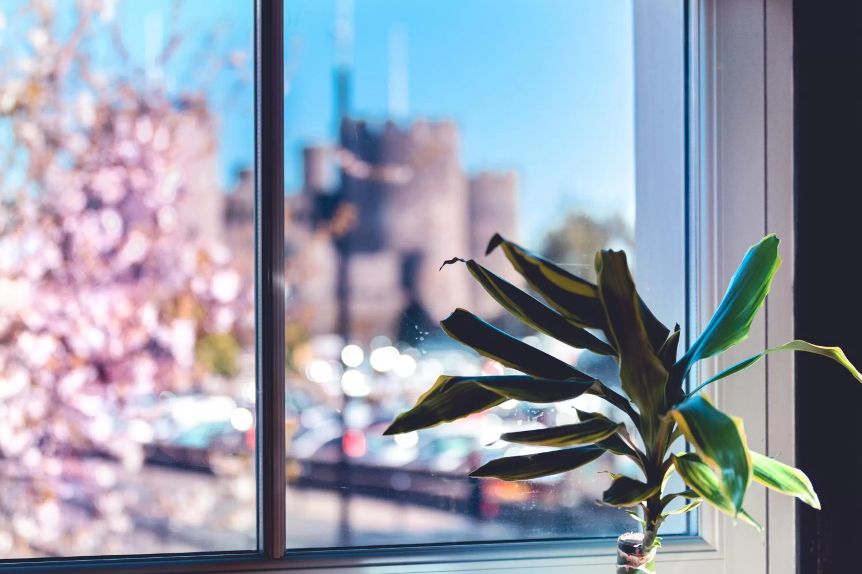 View (from property/room) in Number 18