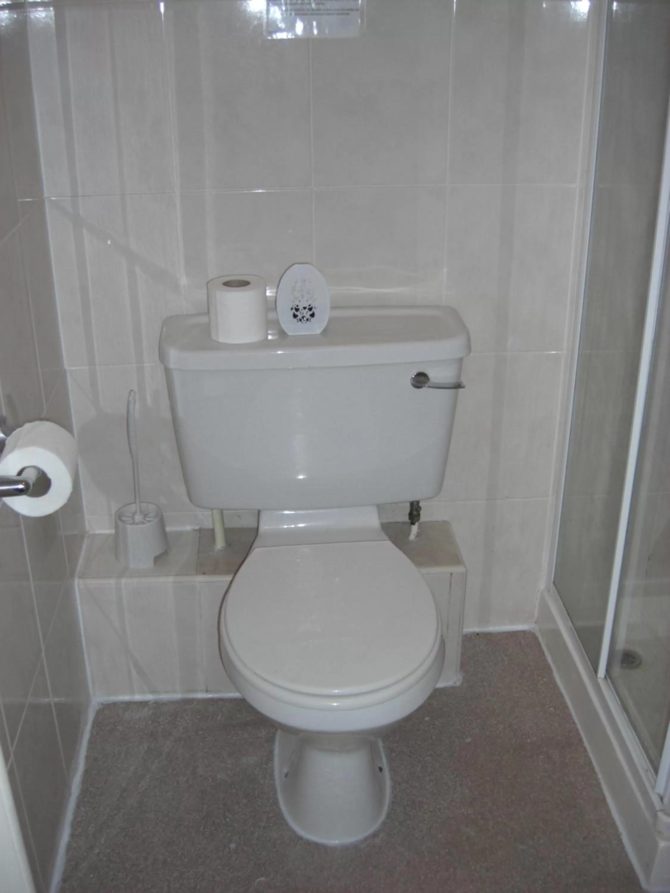 Toilet in Lynebank House Hotel, Bed & Breakfast