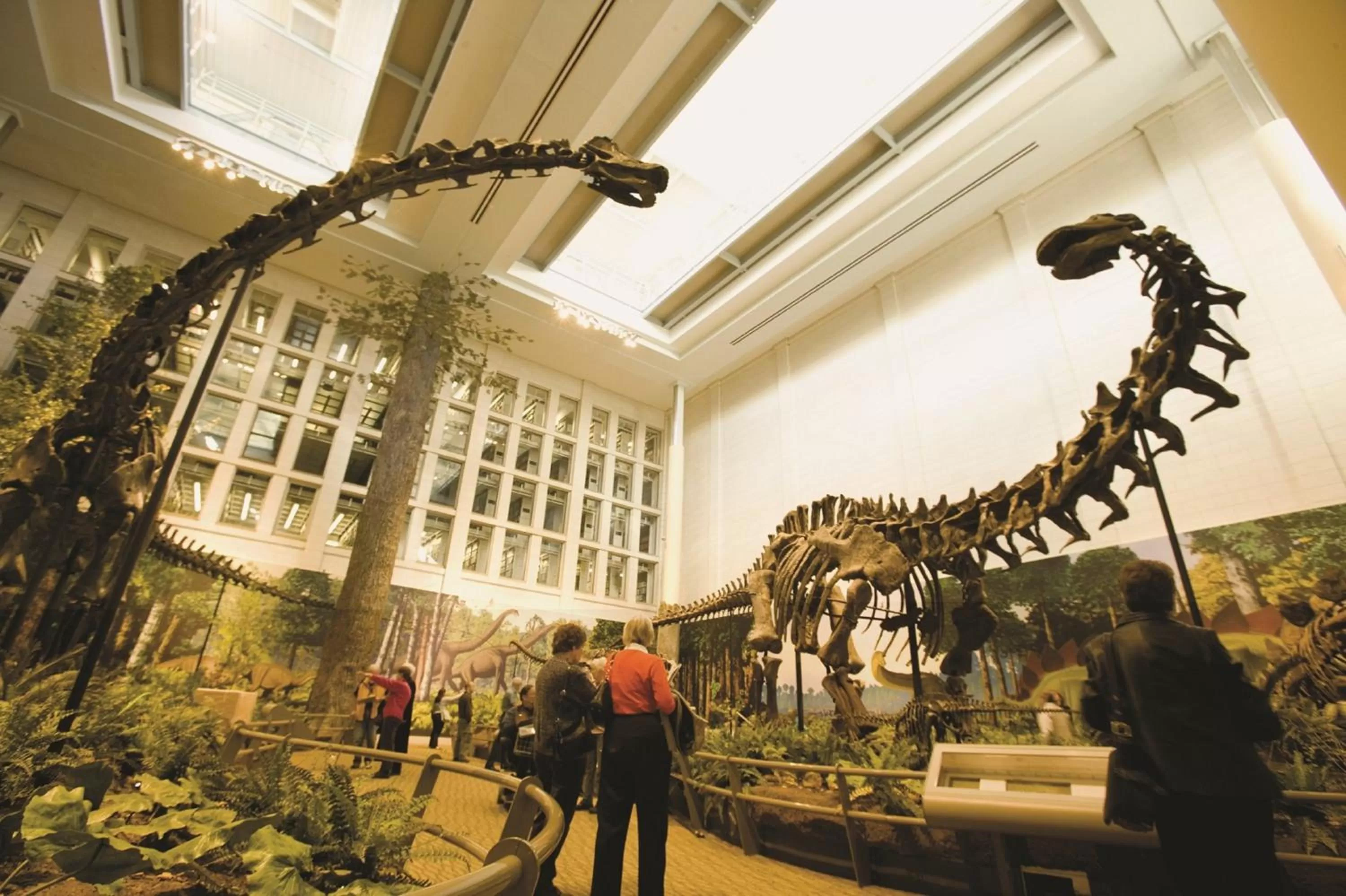 Area and facilities in Hotel Indigo Pittsburgh University - Oakland by IHG