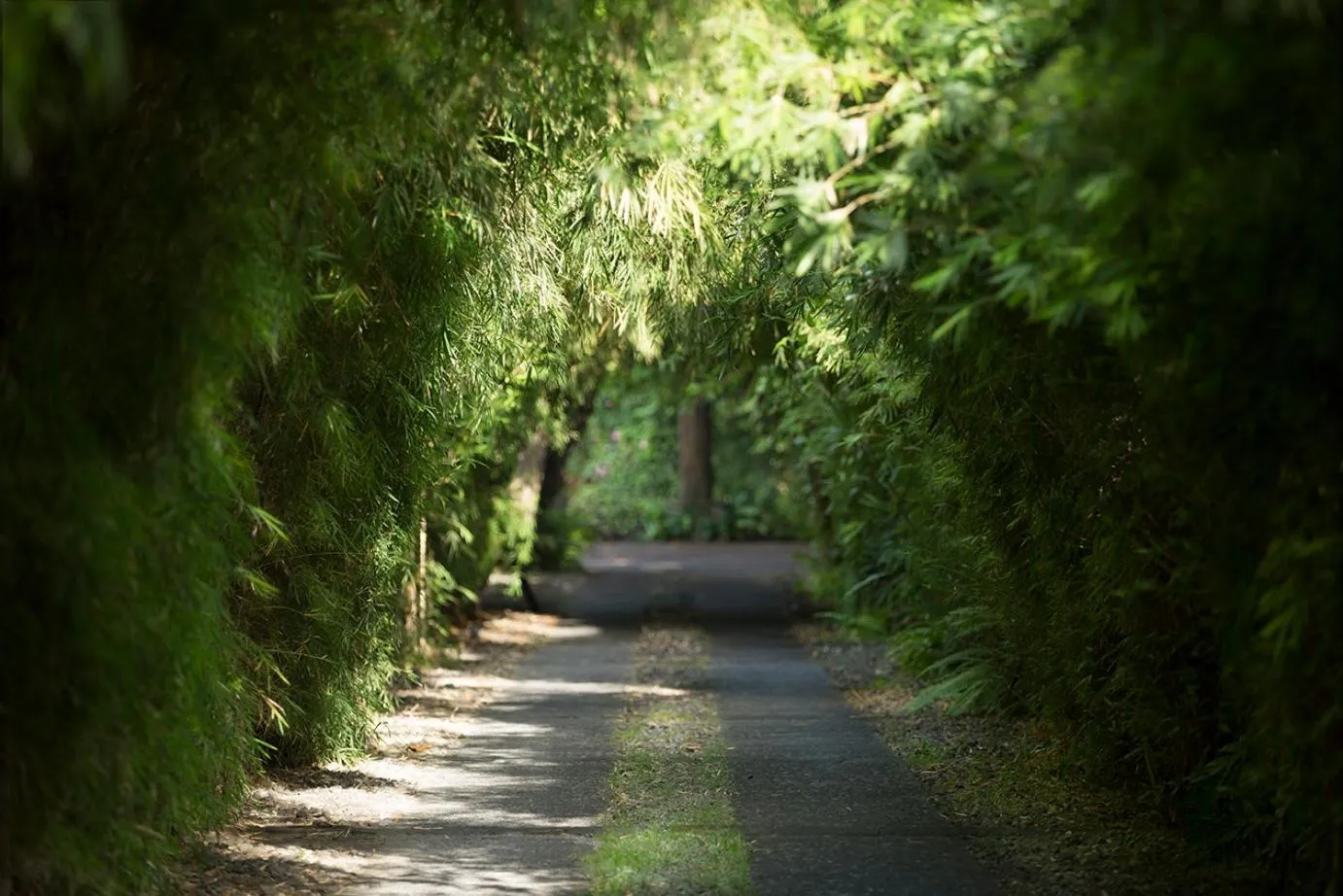 Facade/entrance in The Pavilions Bali