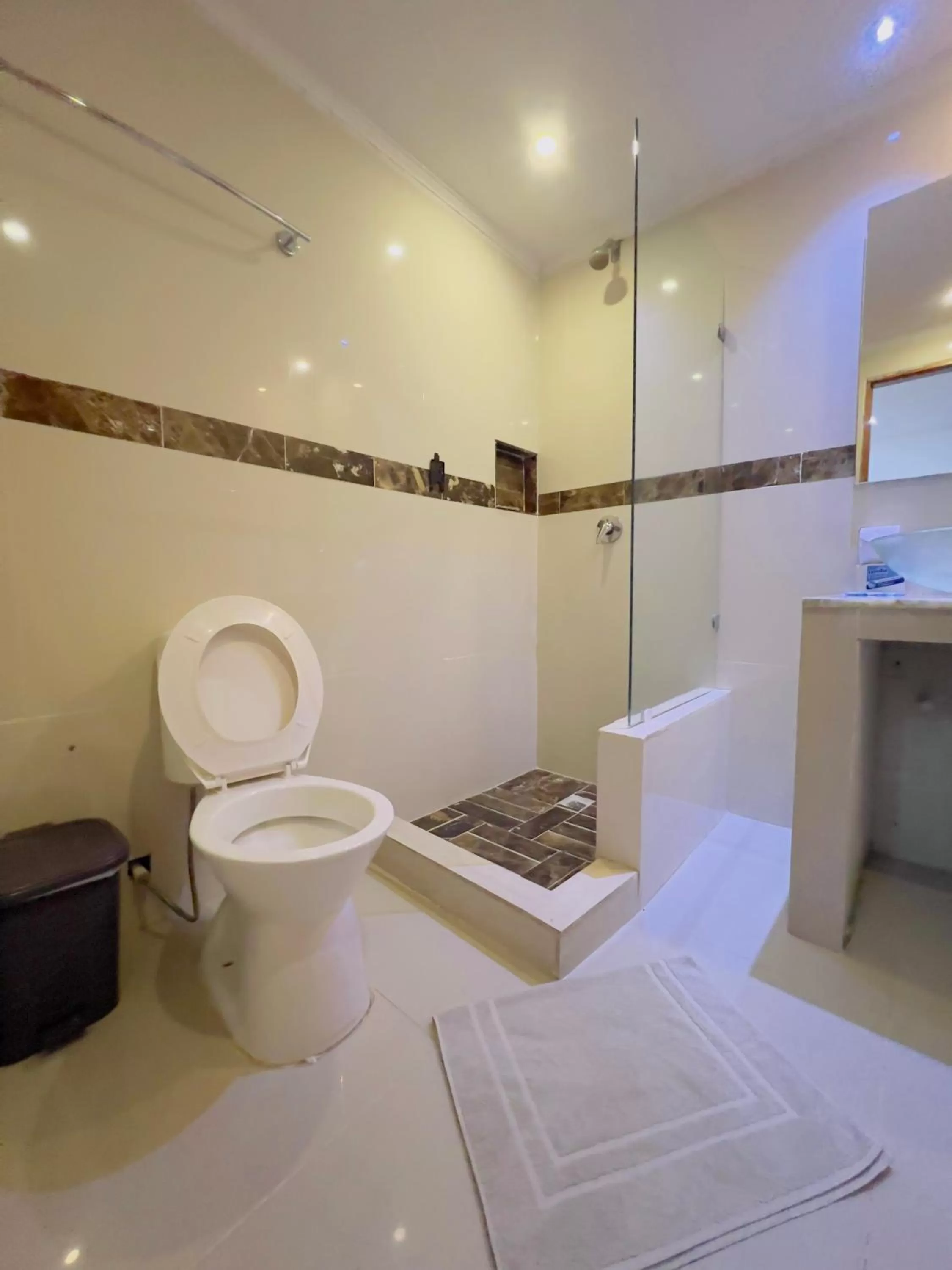 Shower in Hotel Costa del Sol