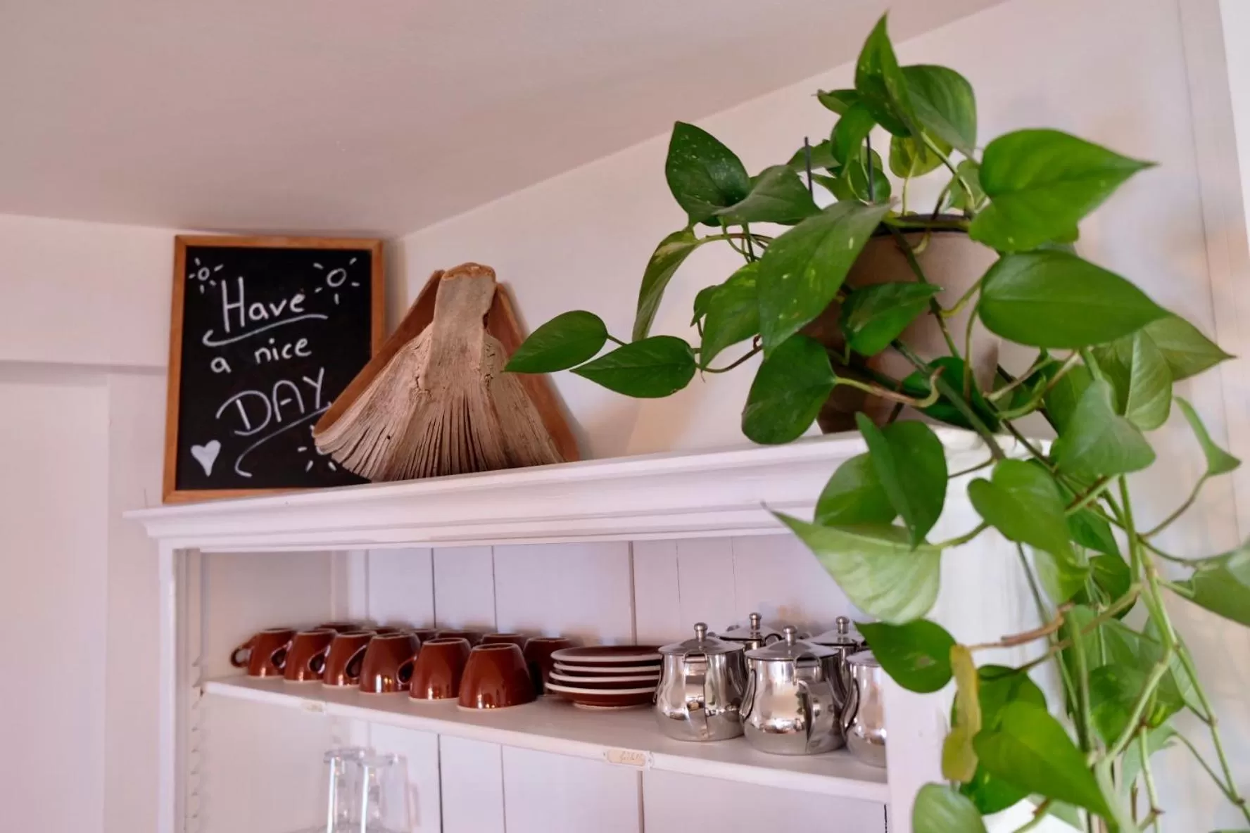 Restaurant/places to eat in Hacienda Rooms