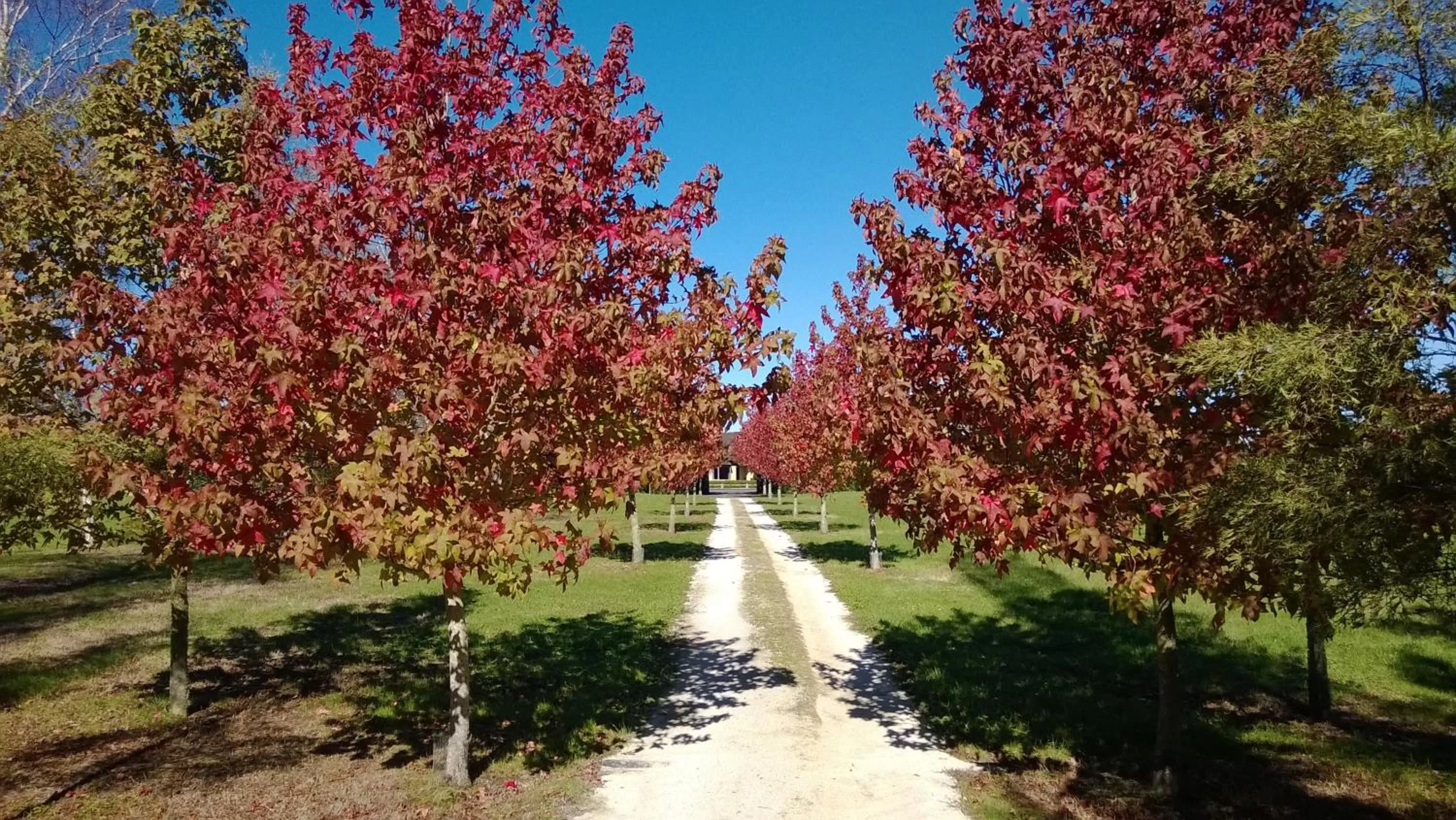 Facade/entrance in Korbaylen Estate