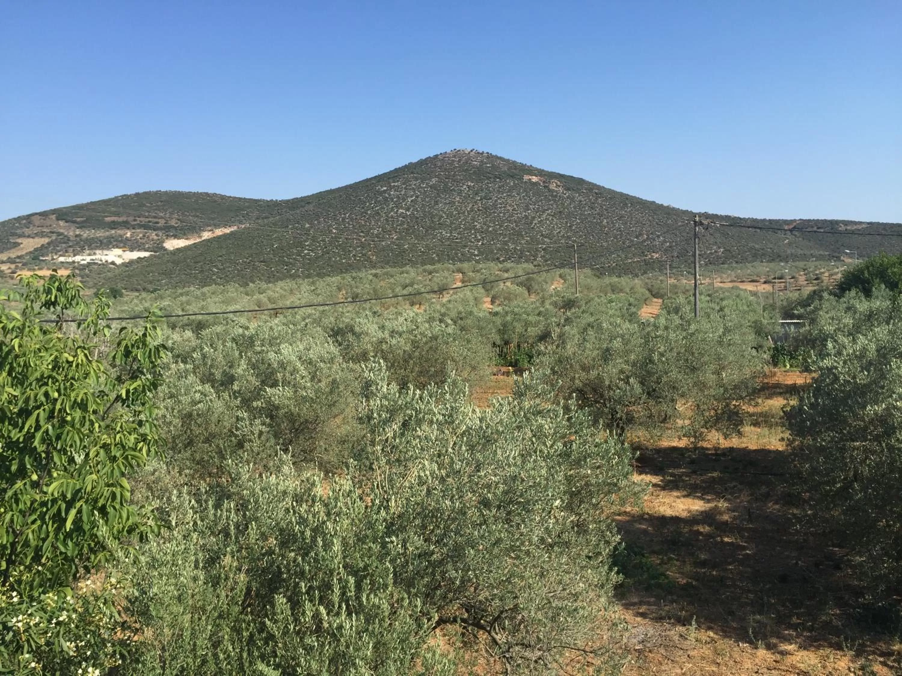Natural landscape in Hani Inn