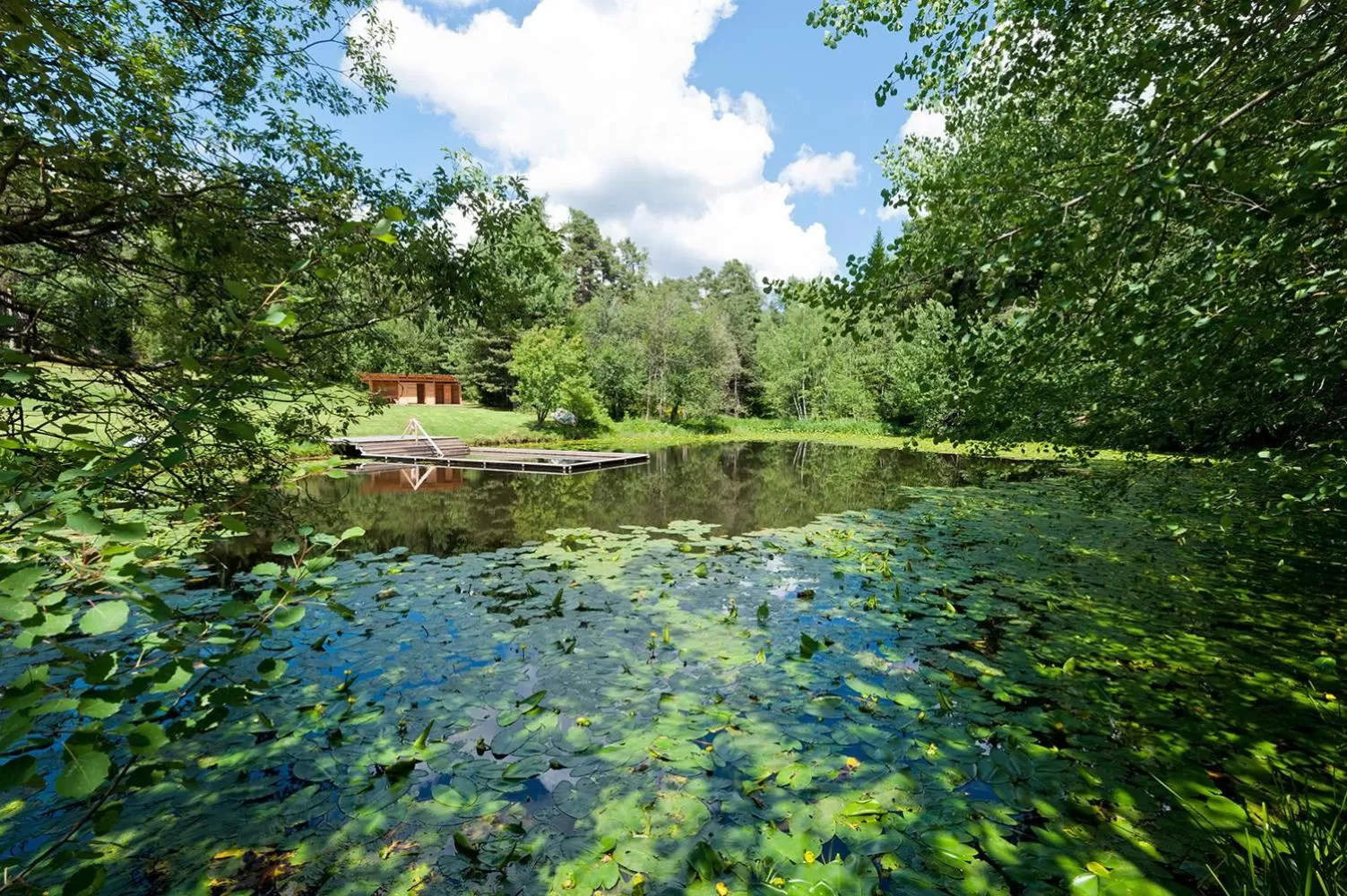 Natural landscape in Hotel Ansitz Kematen ***S