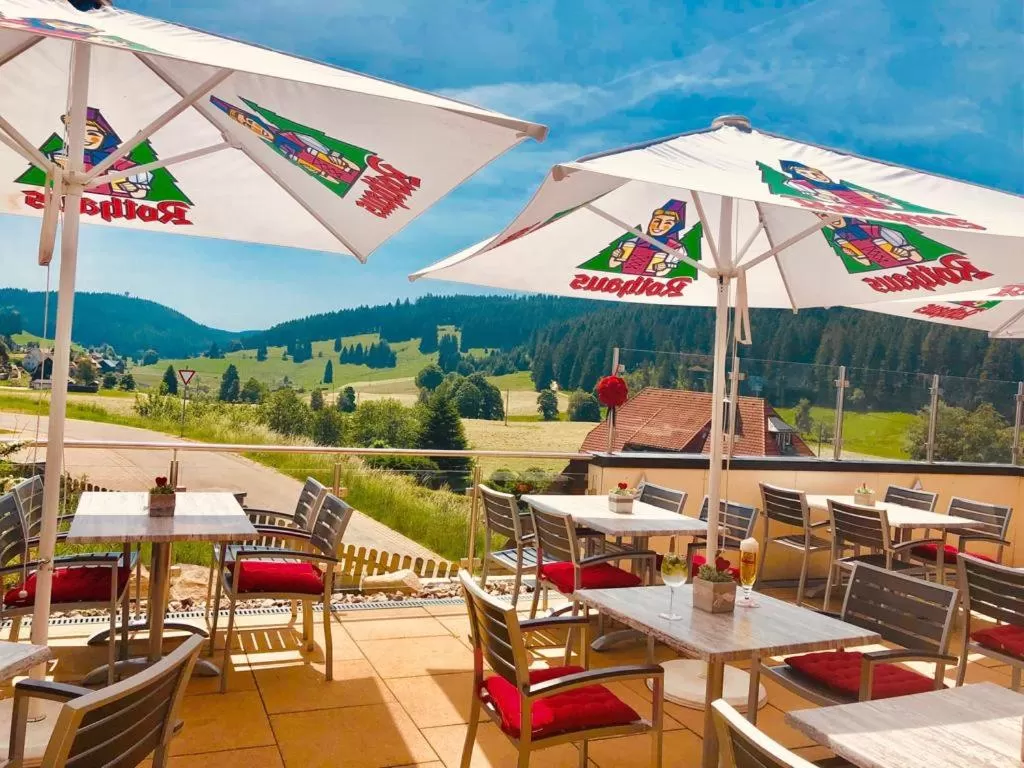 Balcony/Terrace in Hotel Hirschen