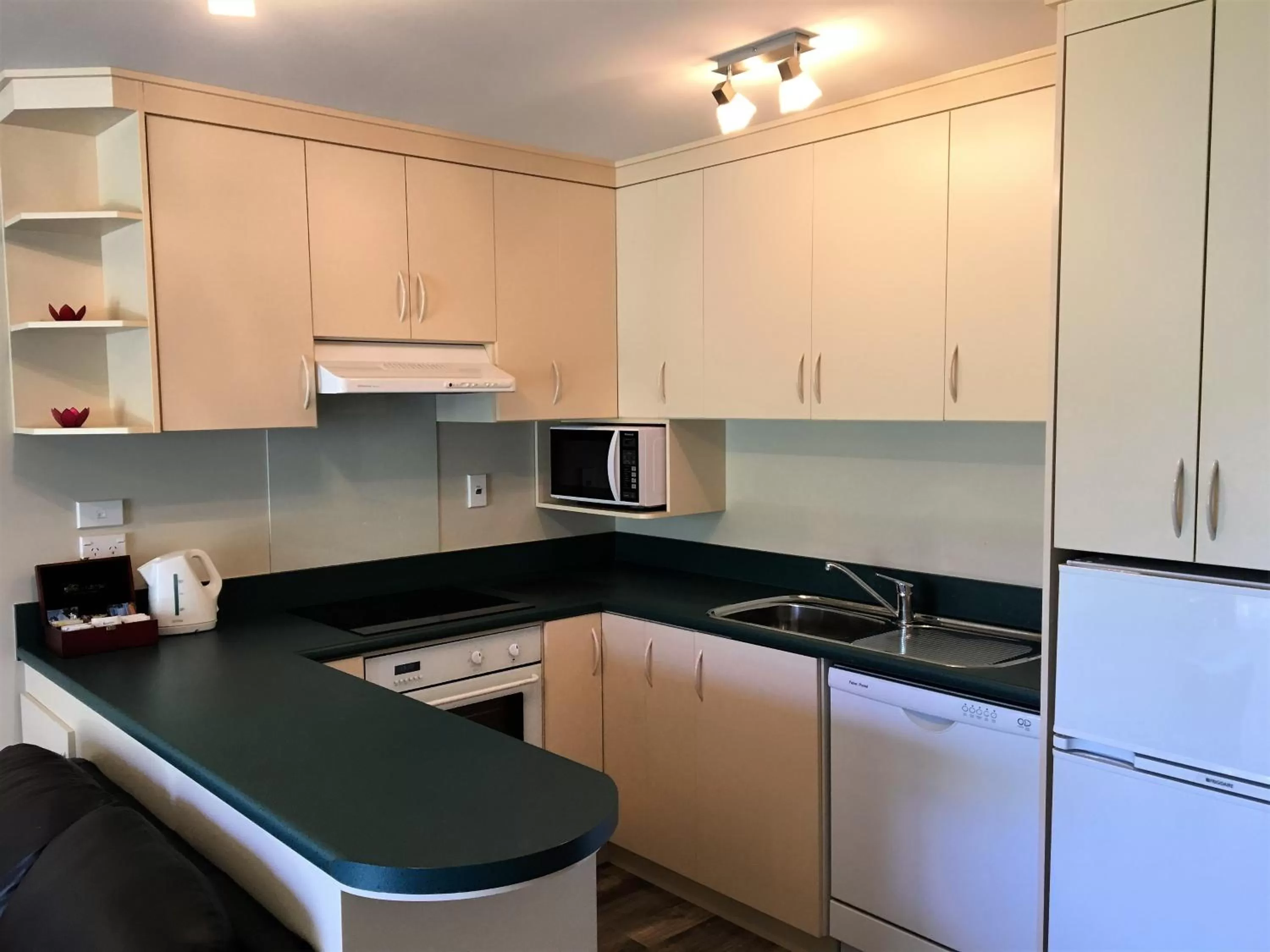 Kitchen or kitchenette in Fiordland Lakeview Motel and Apartments