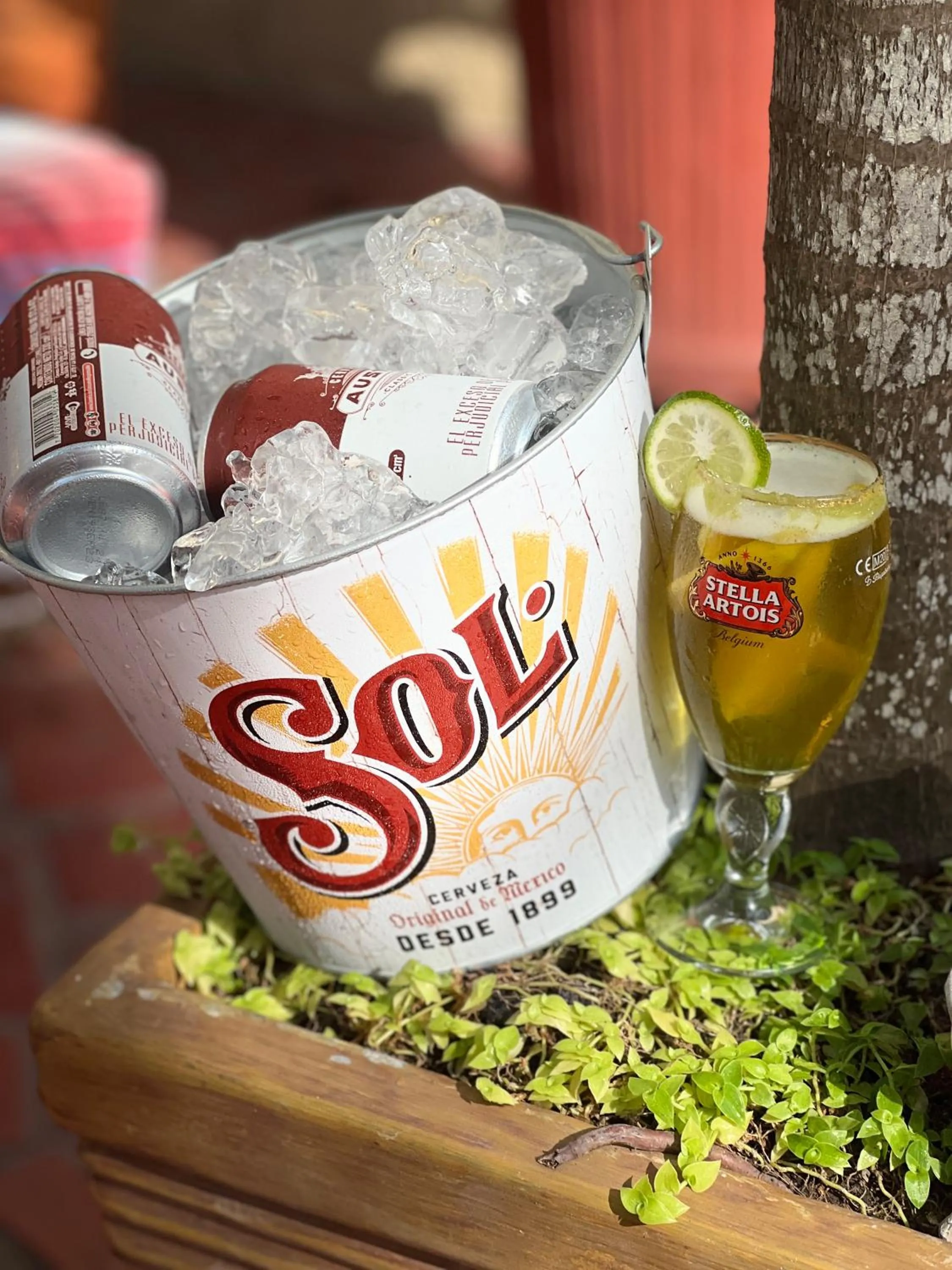 Drinks in Hotel Boutique Castillo Ines Maria